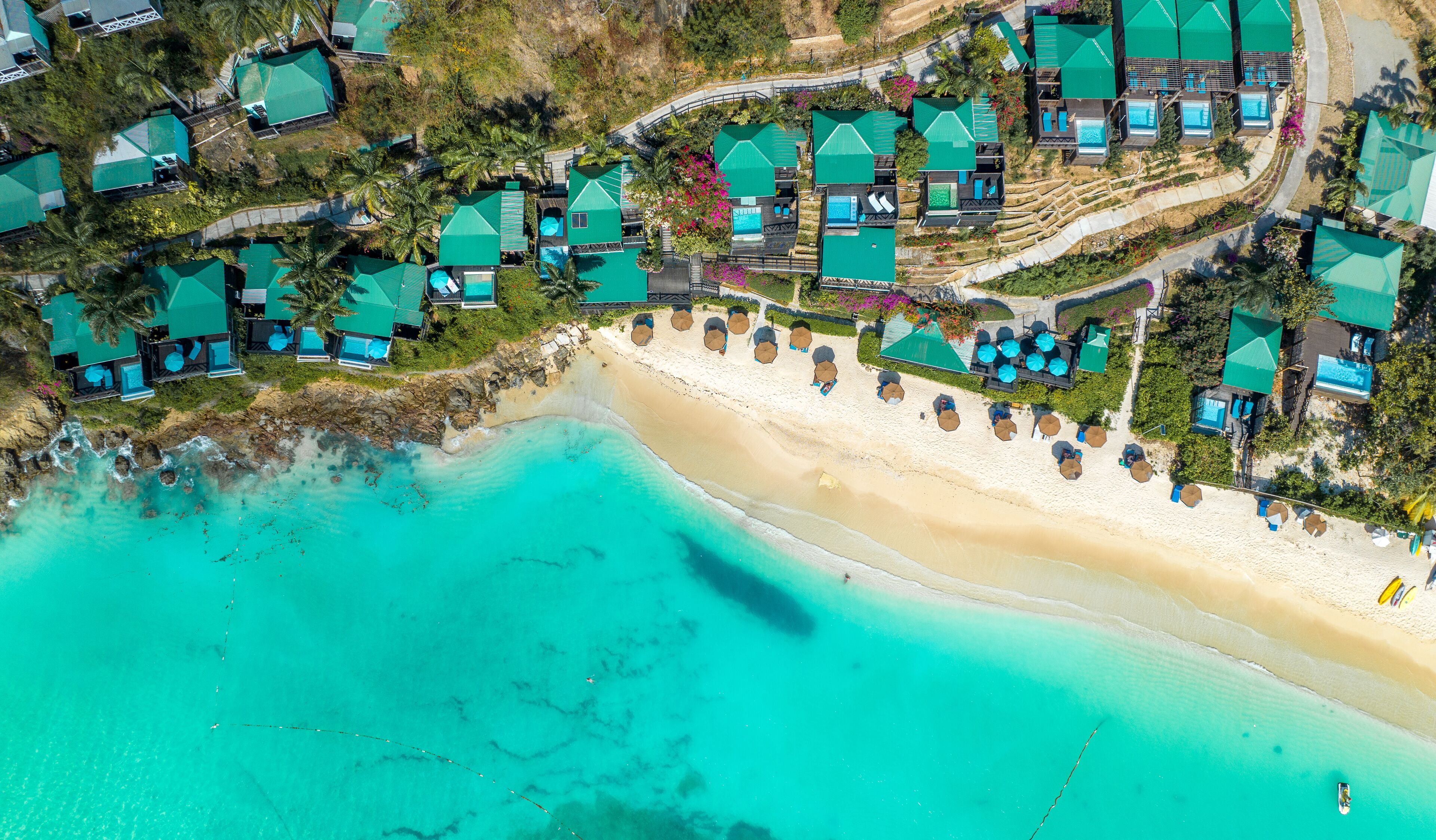Cocos Antigua
