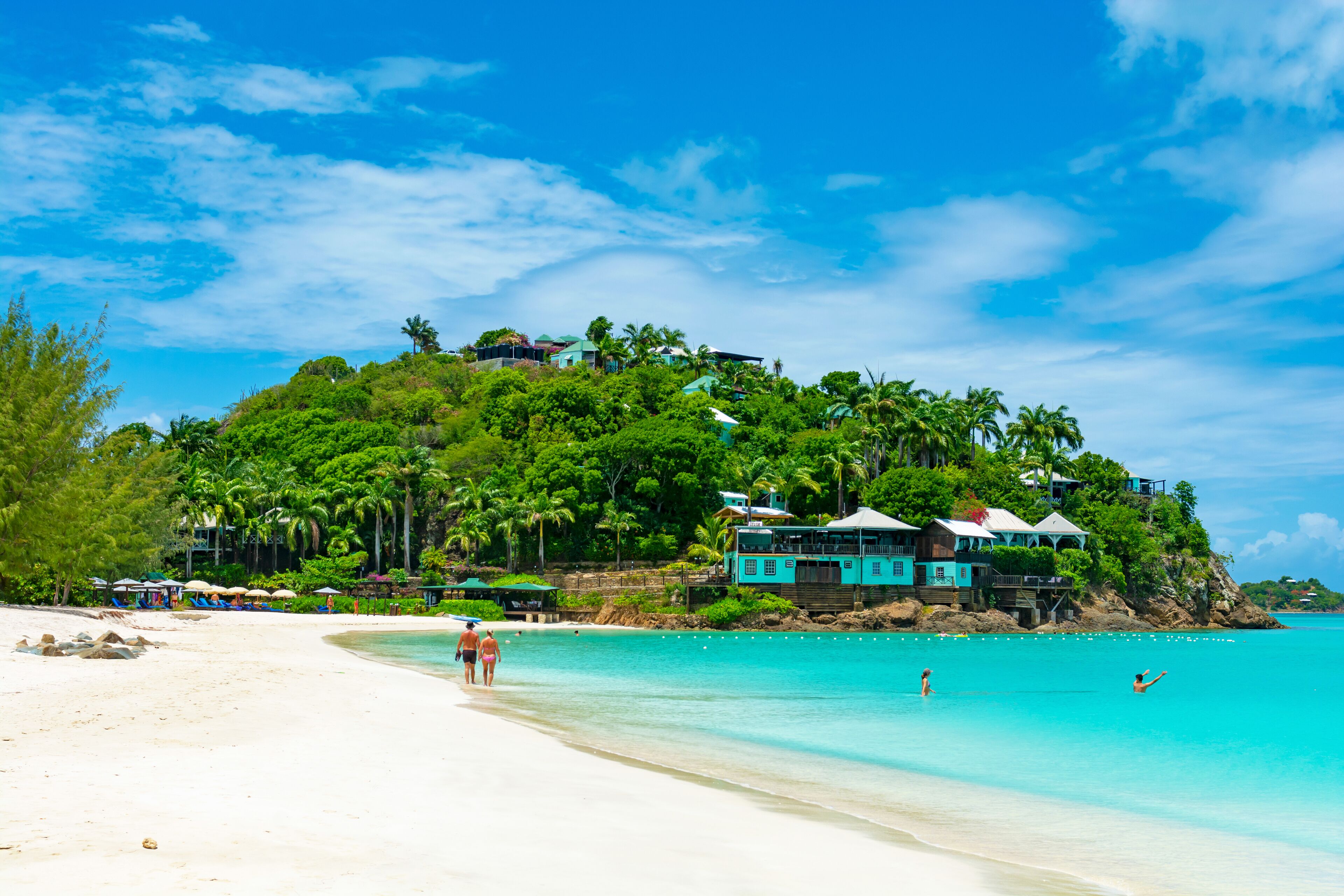 Cocos Antigua