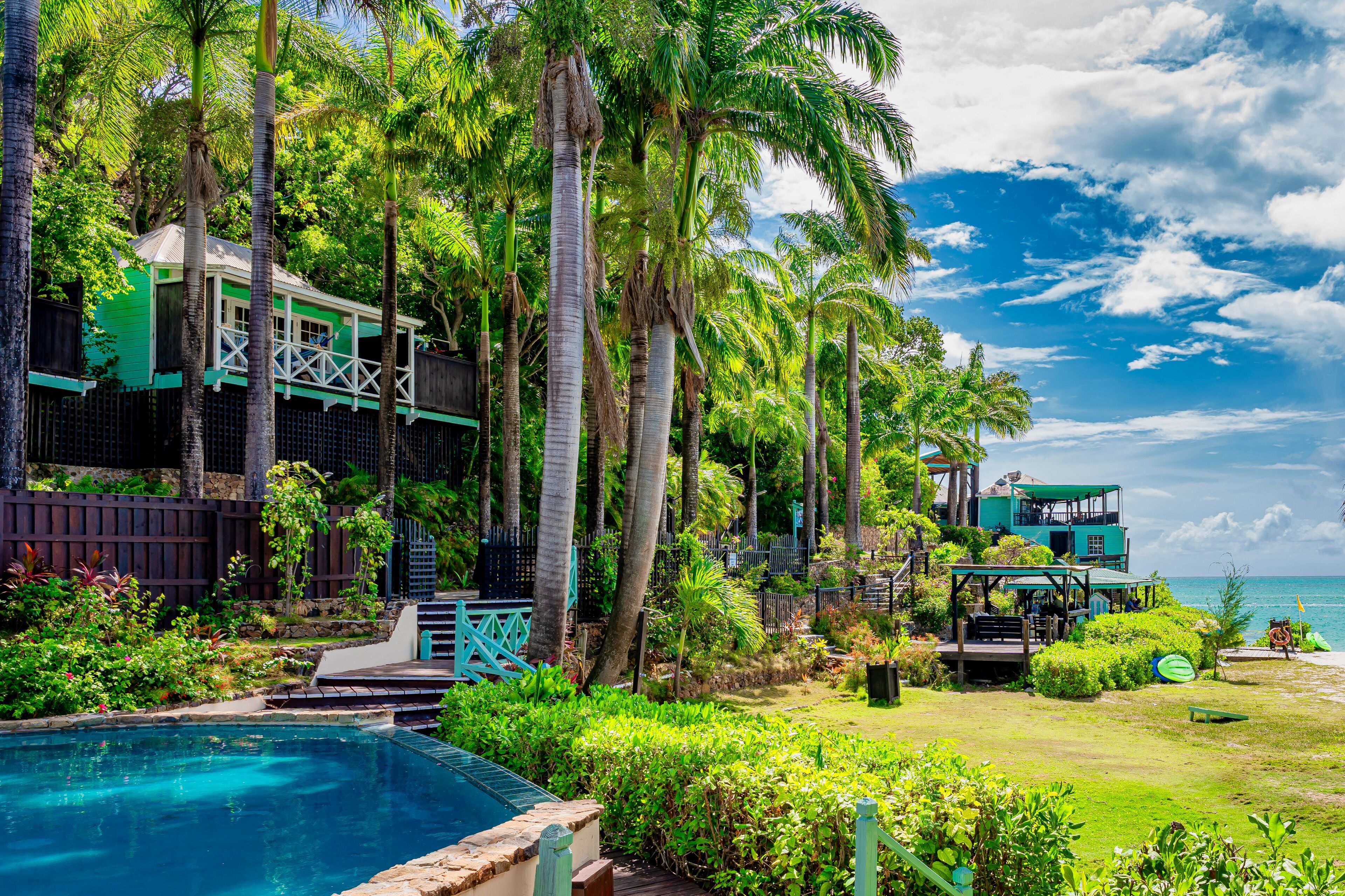 Cocos Antigua
