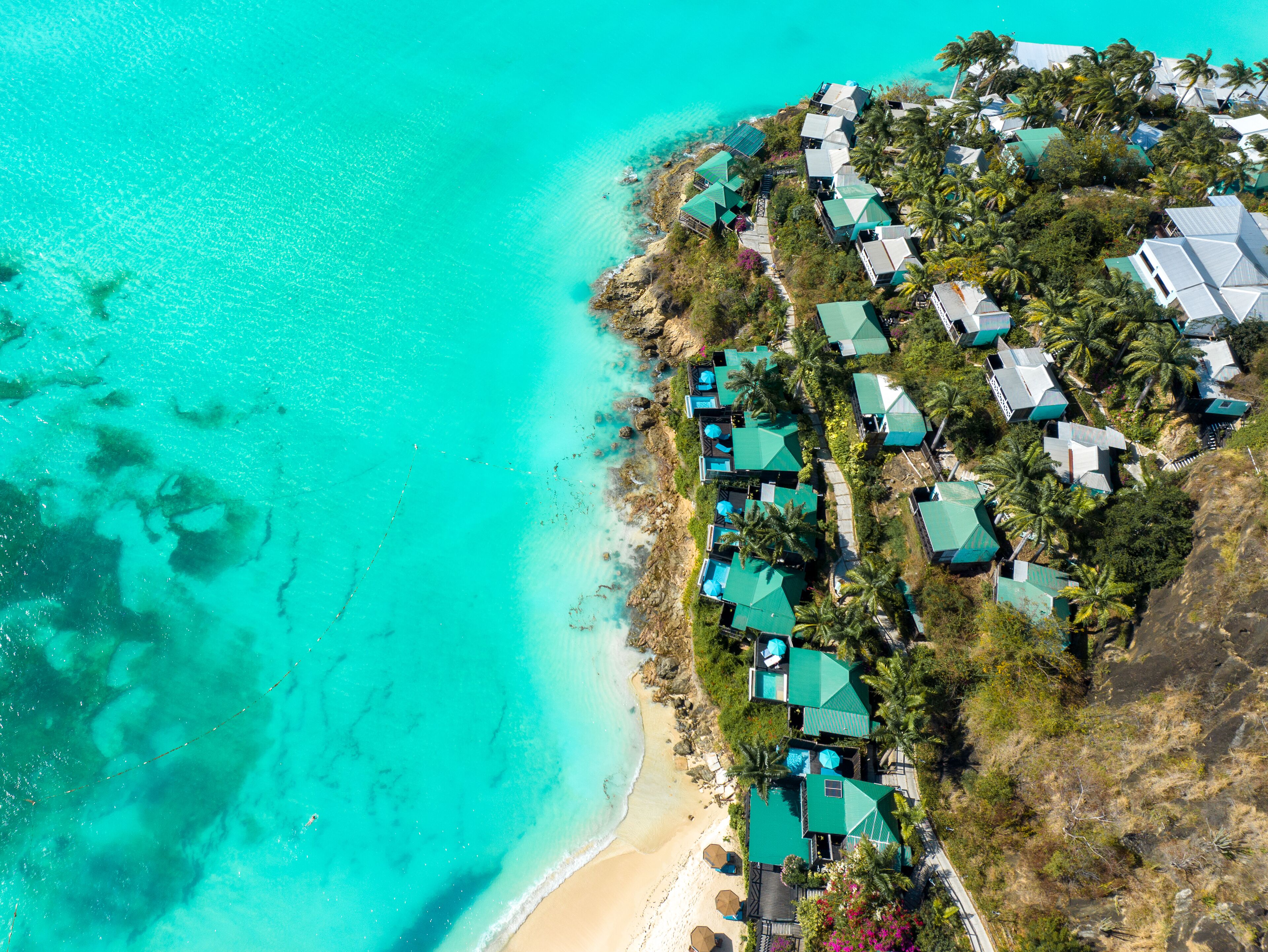 Cocos Antigua