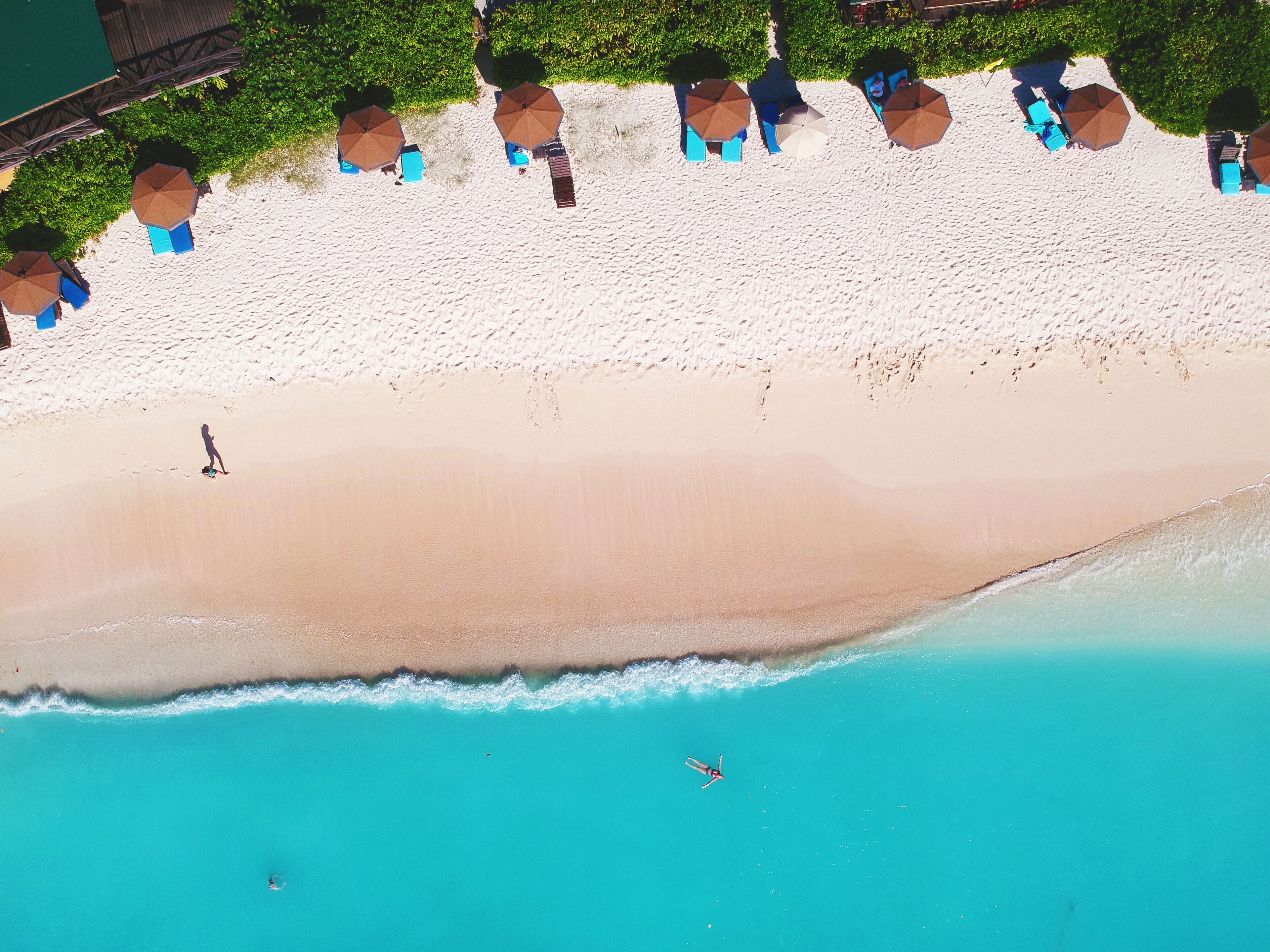 Cocos Antigua