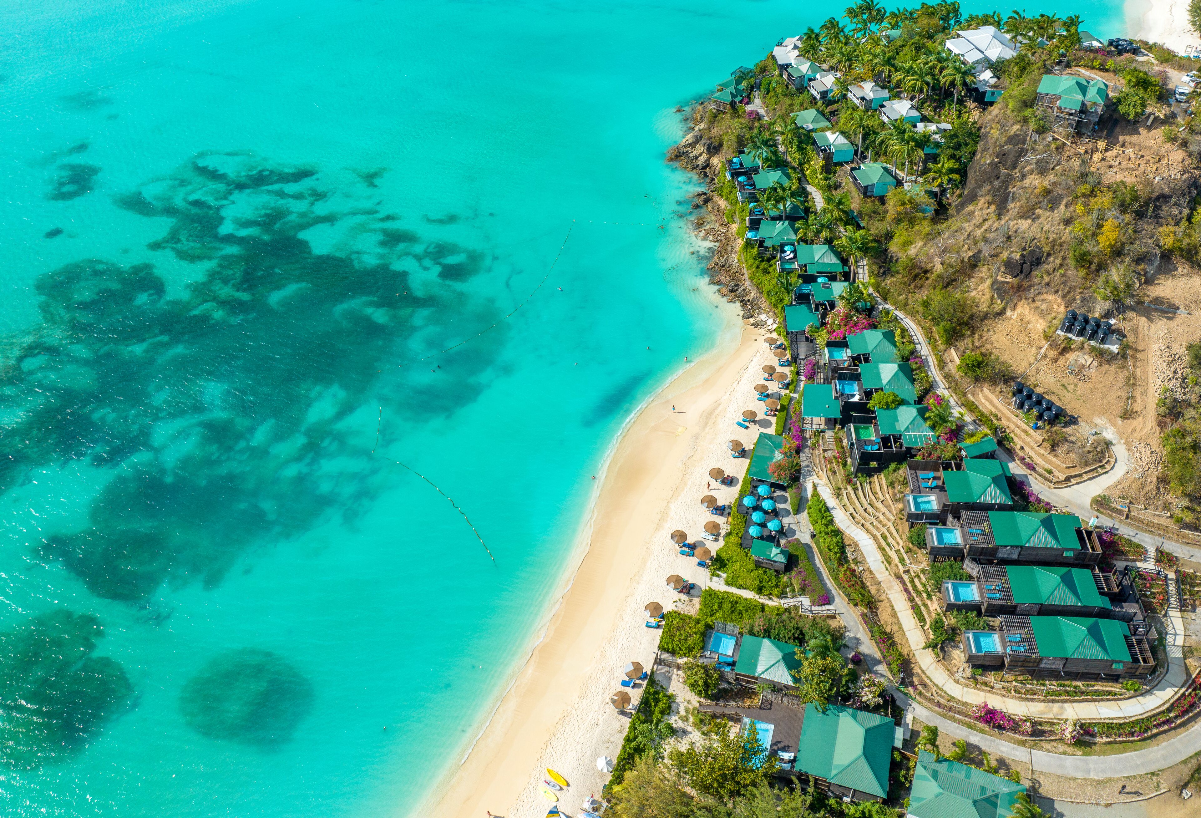Cocos Antigua
