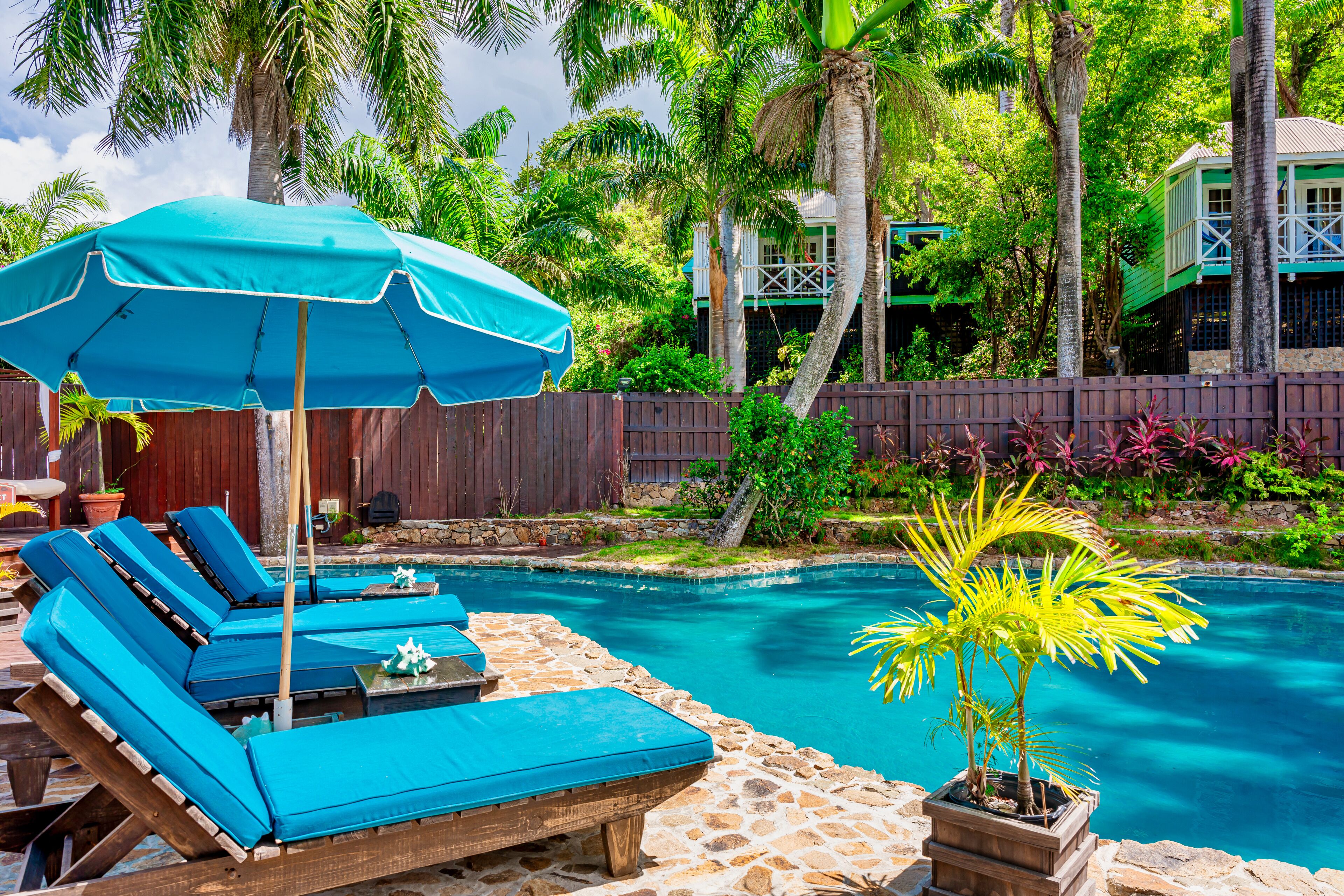 Cocos Antigua
