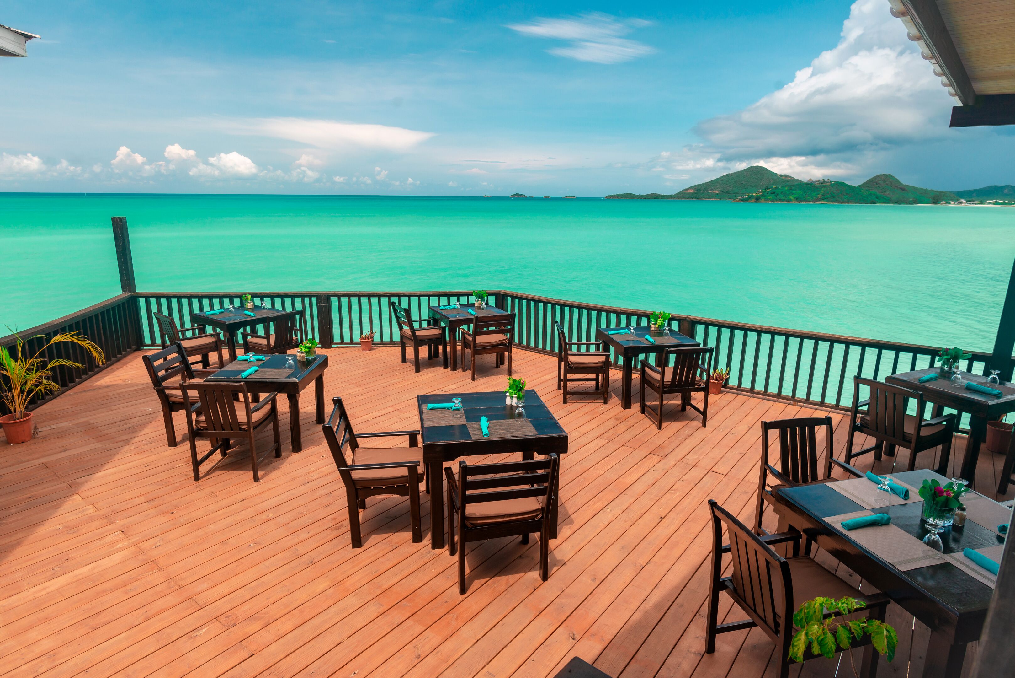 Cocos Antigua
