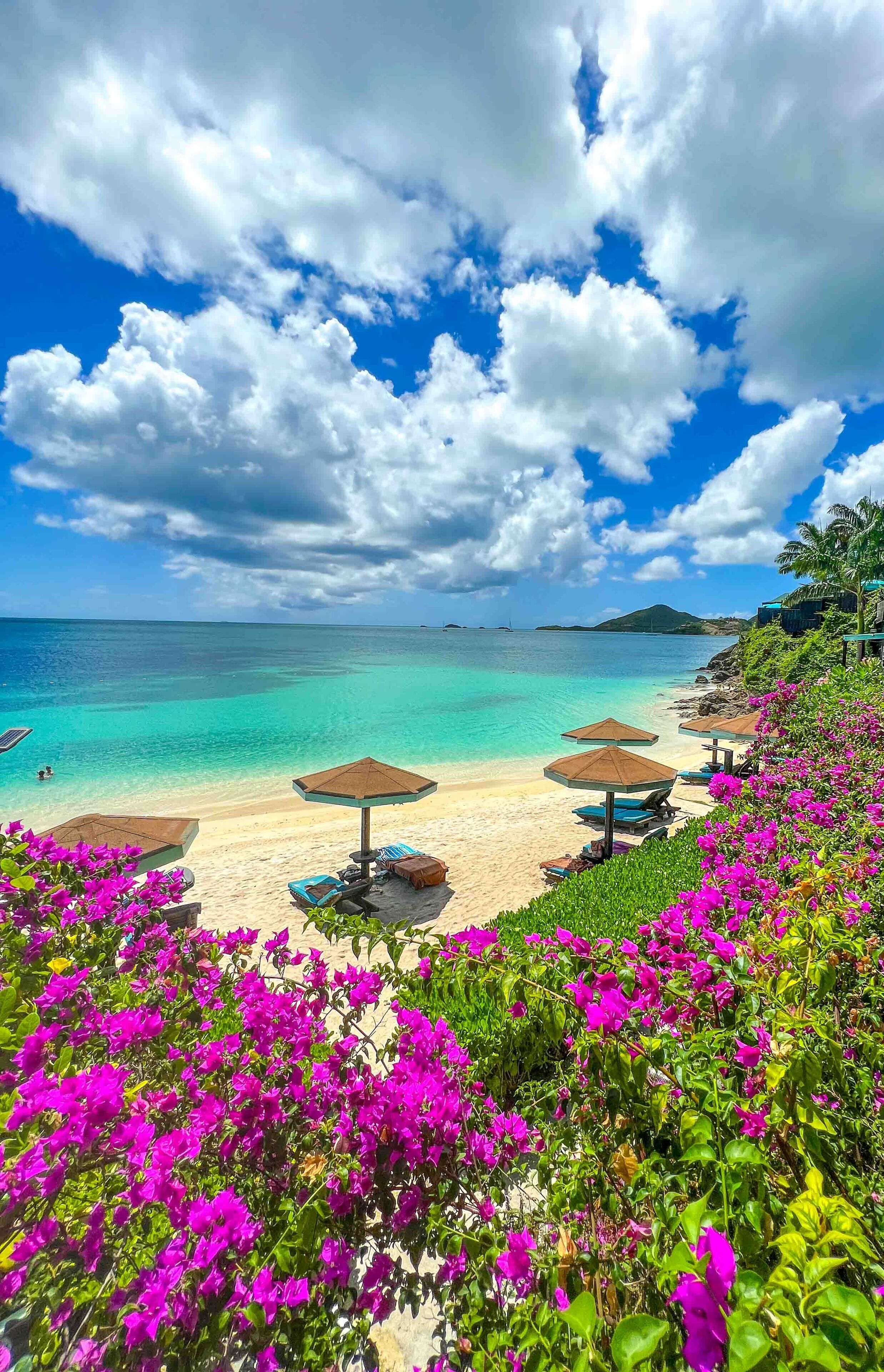 Cocos Antigua