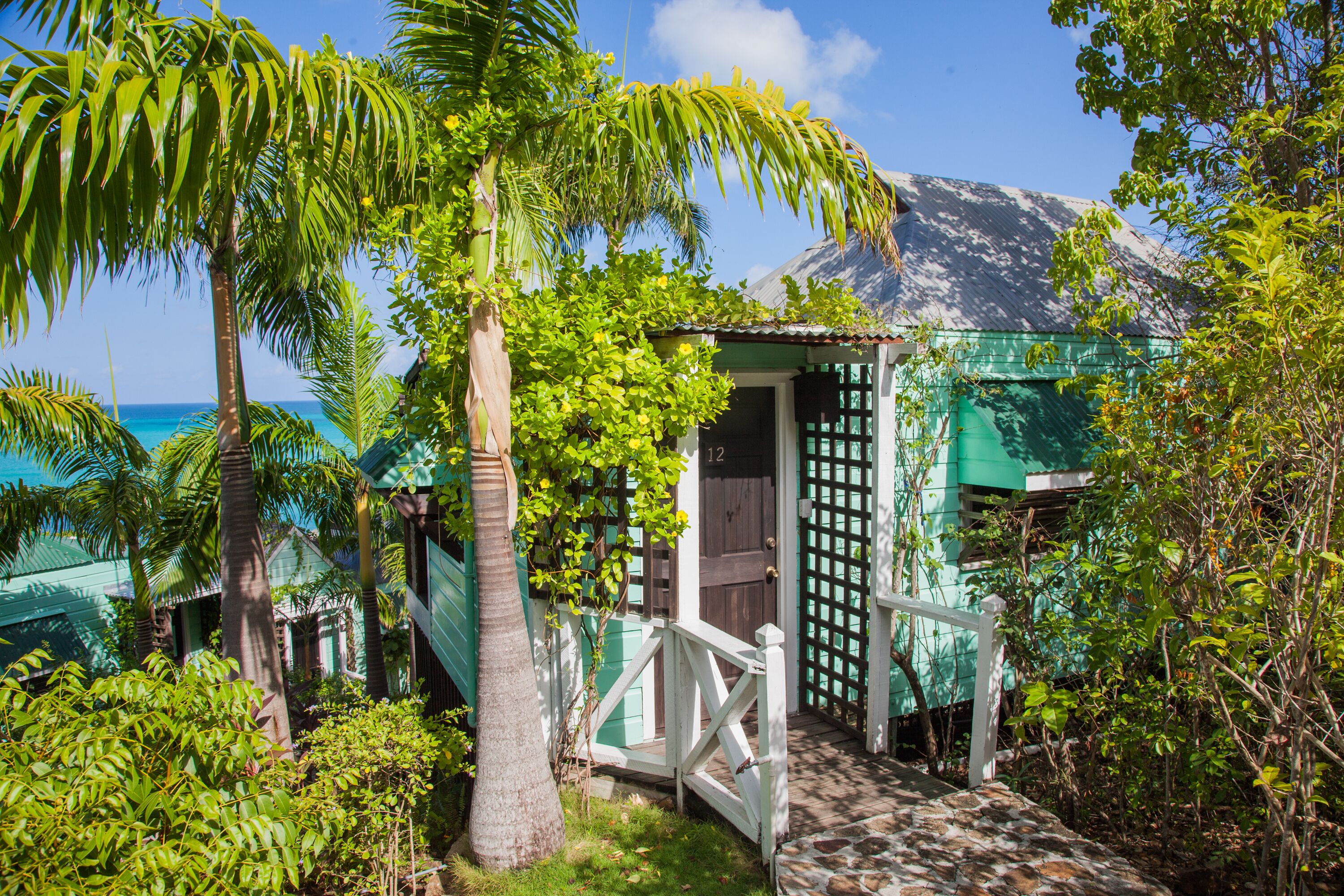 Cocos Antigua