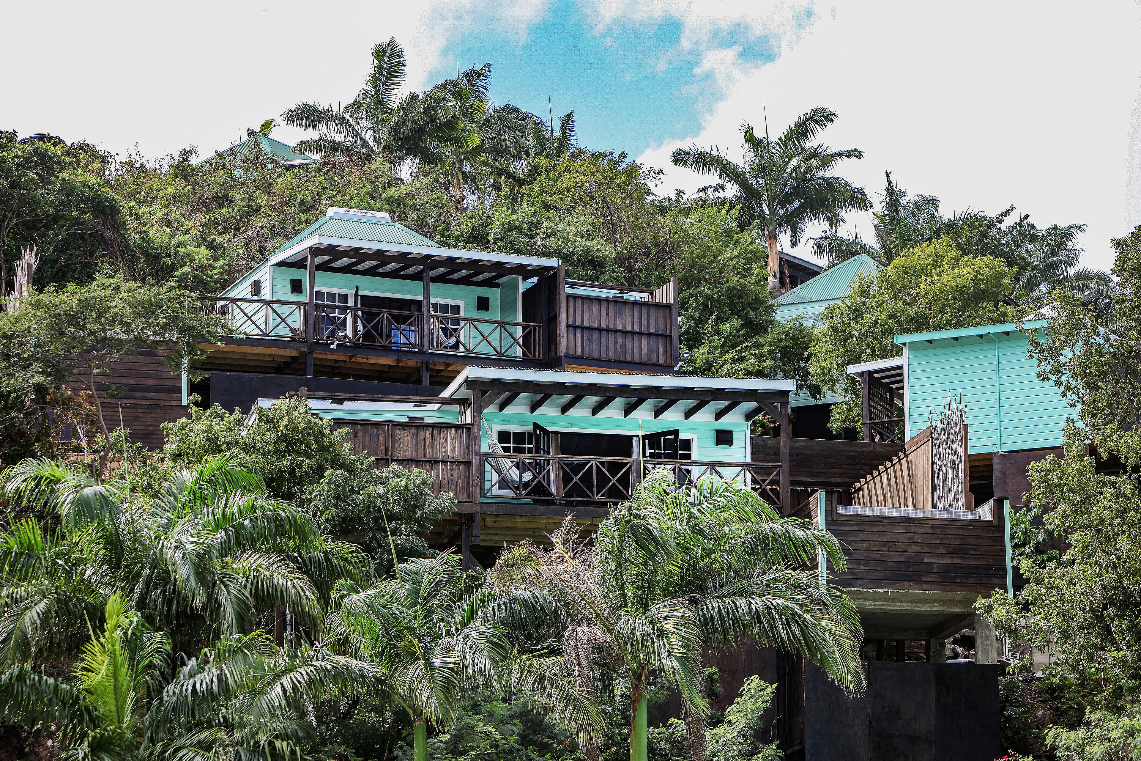 Cocos Antigua