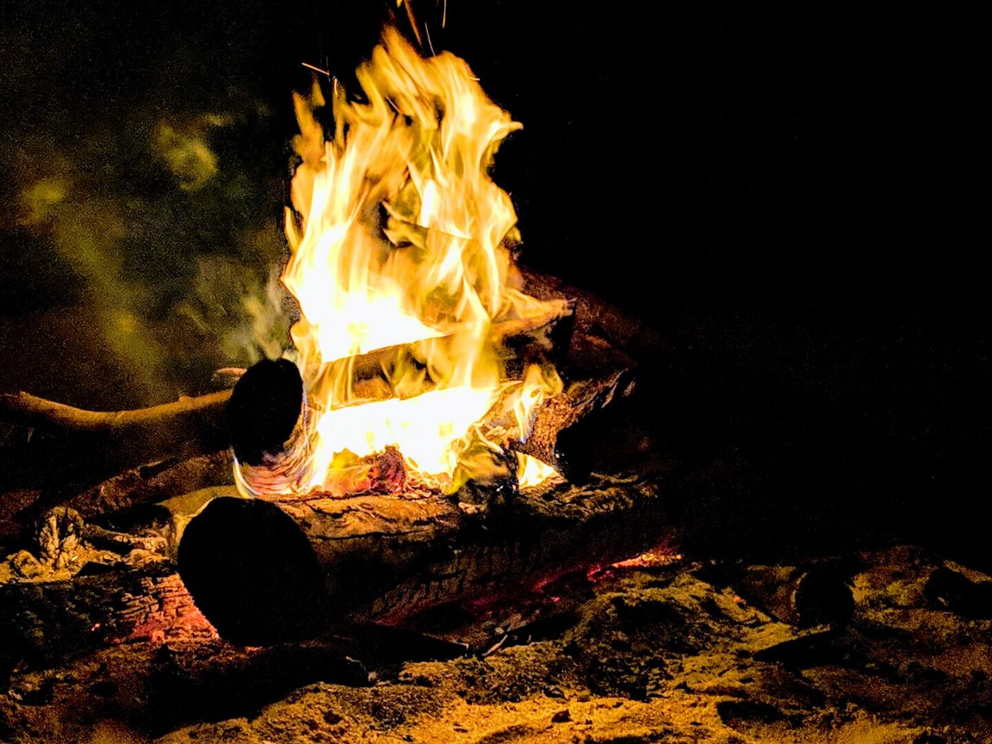 Wild Lotus Glamping