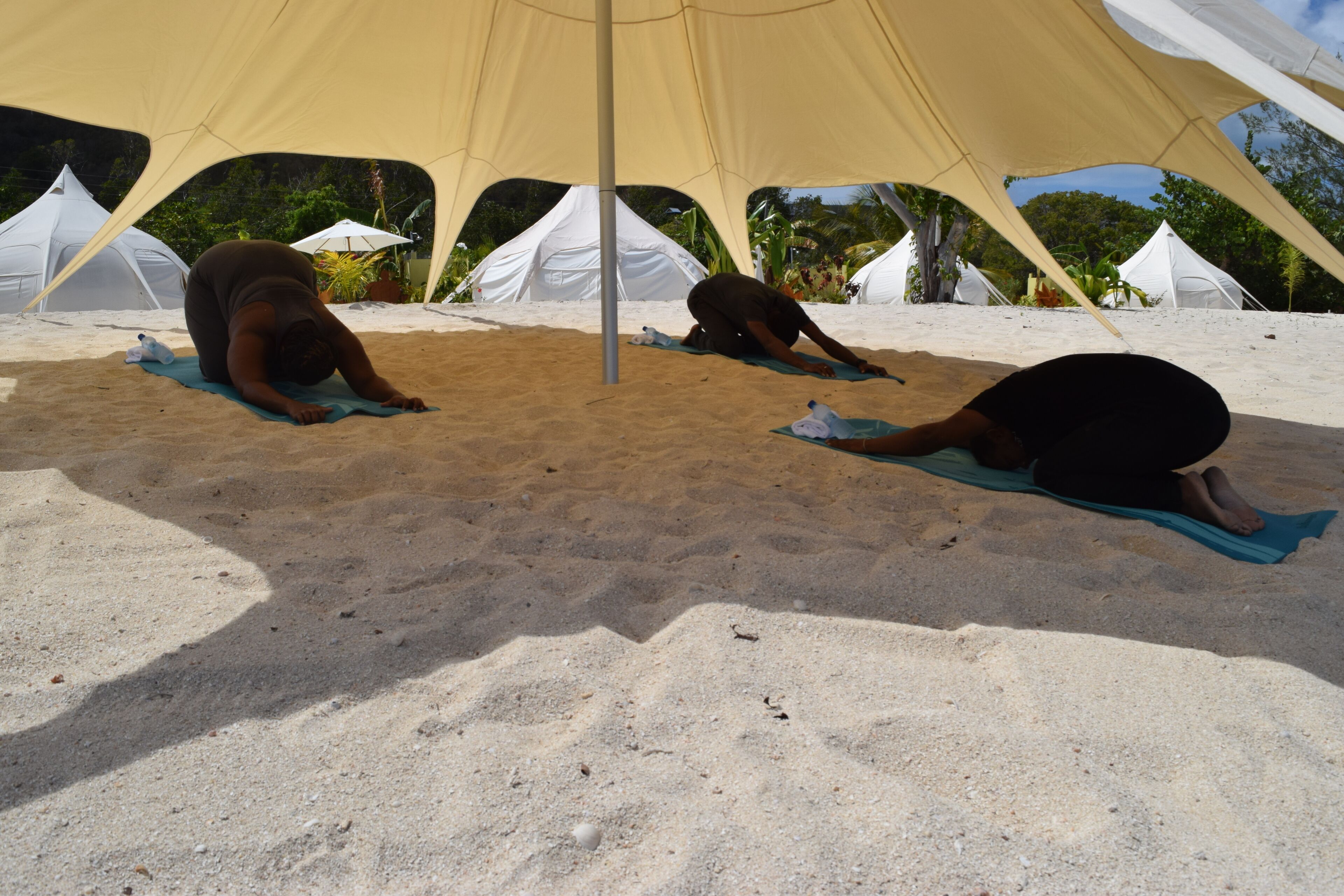 Wild Lotus Glamping