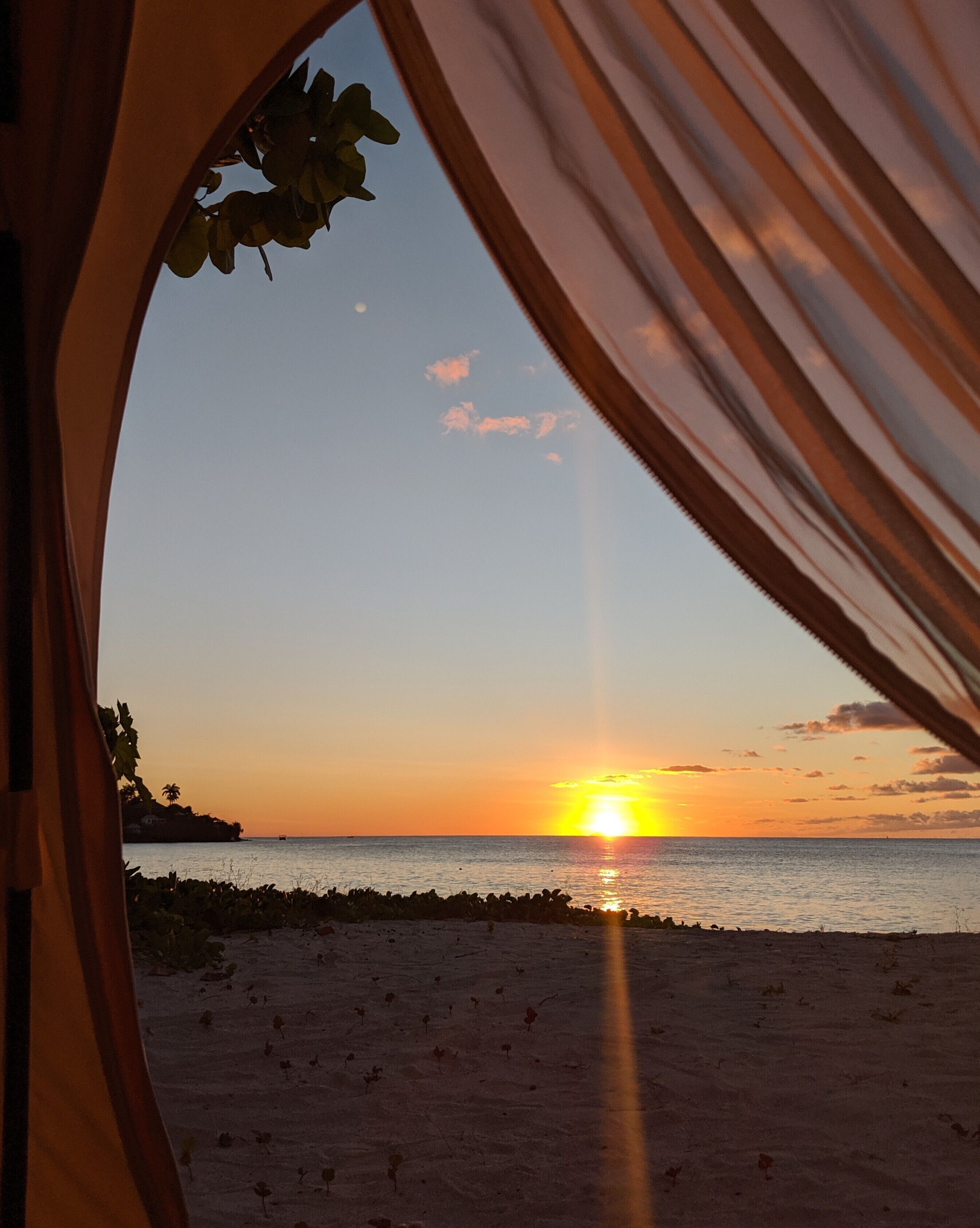 Wild Lotus Glamping