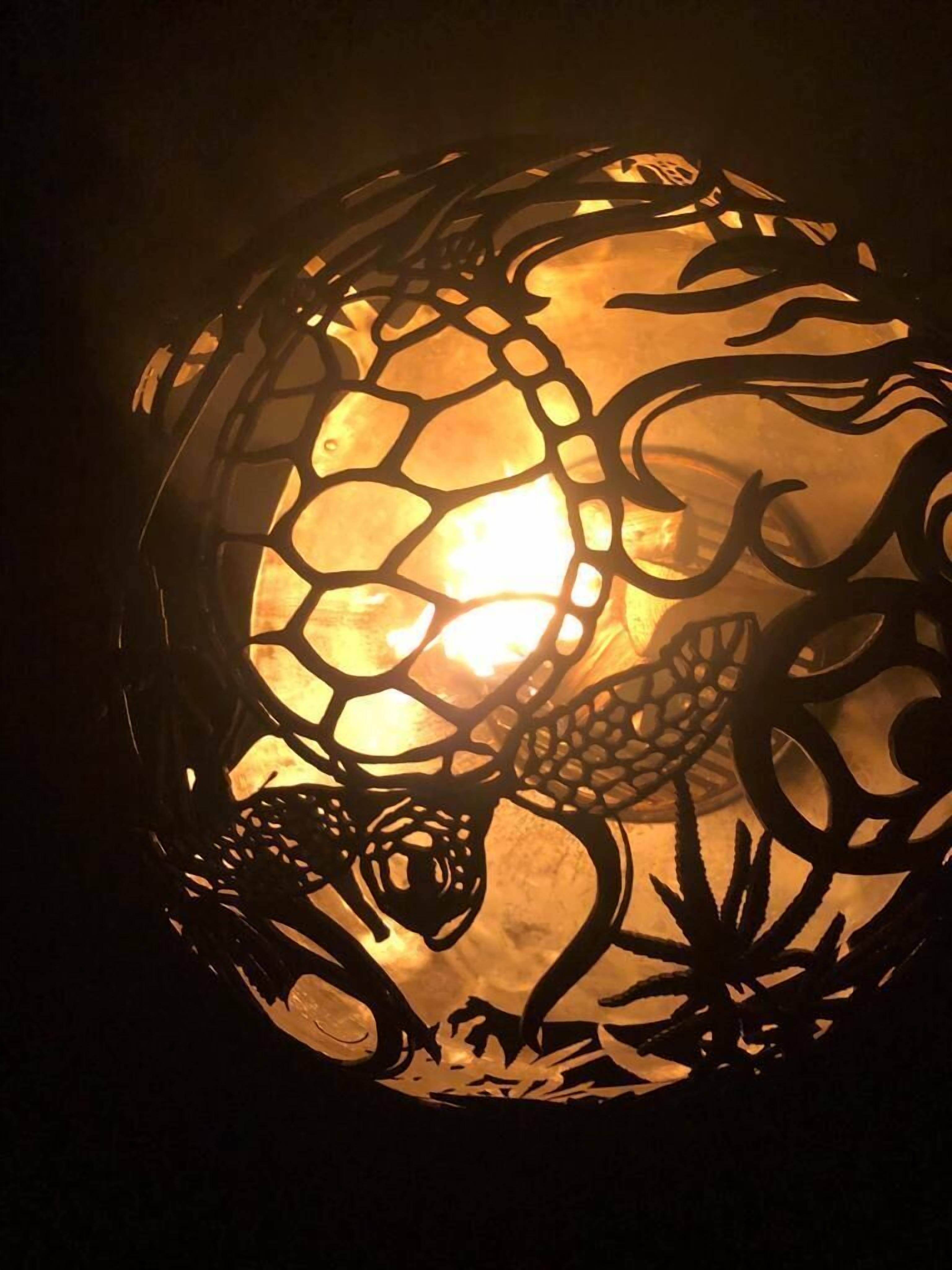 Wild Lotus Glamping