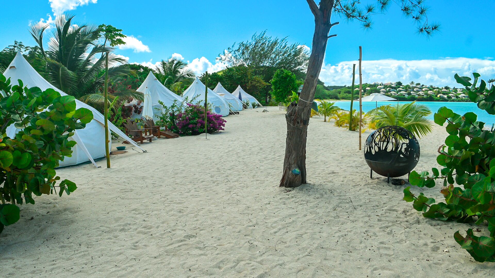 Wild Lotus Glamping