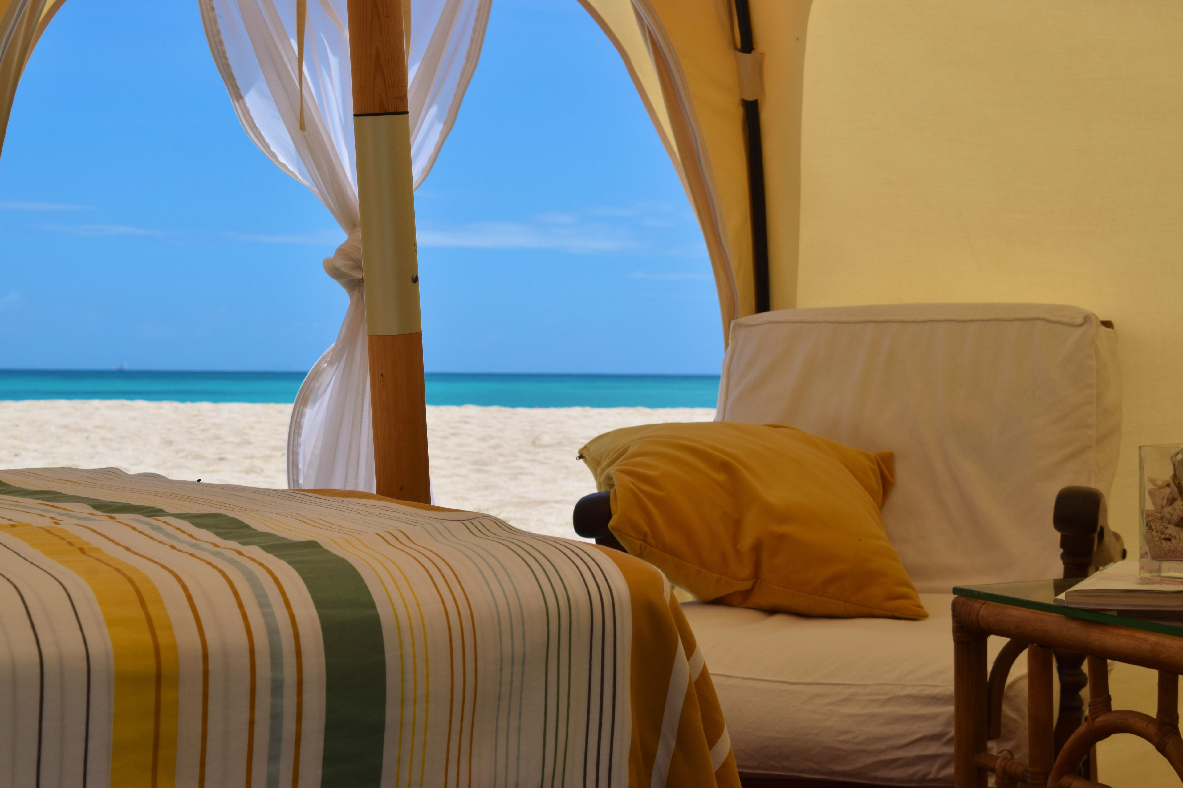 Wild Lotus Glamping