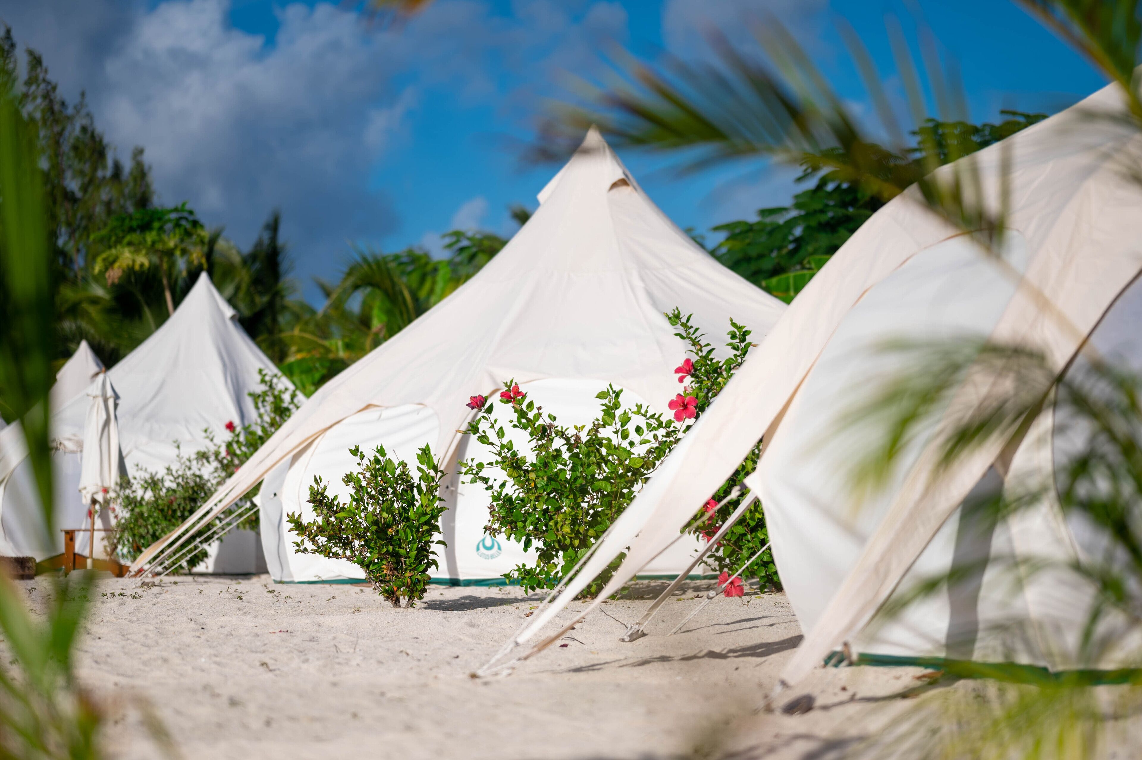 Wild Lotus Glamping