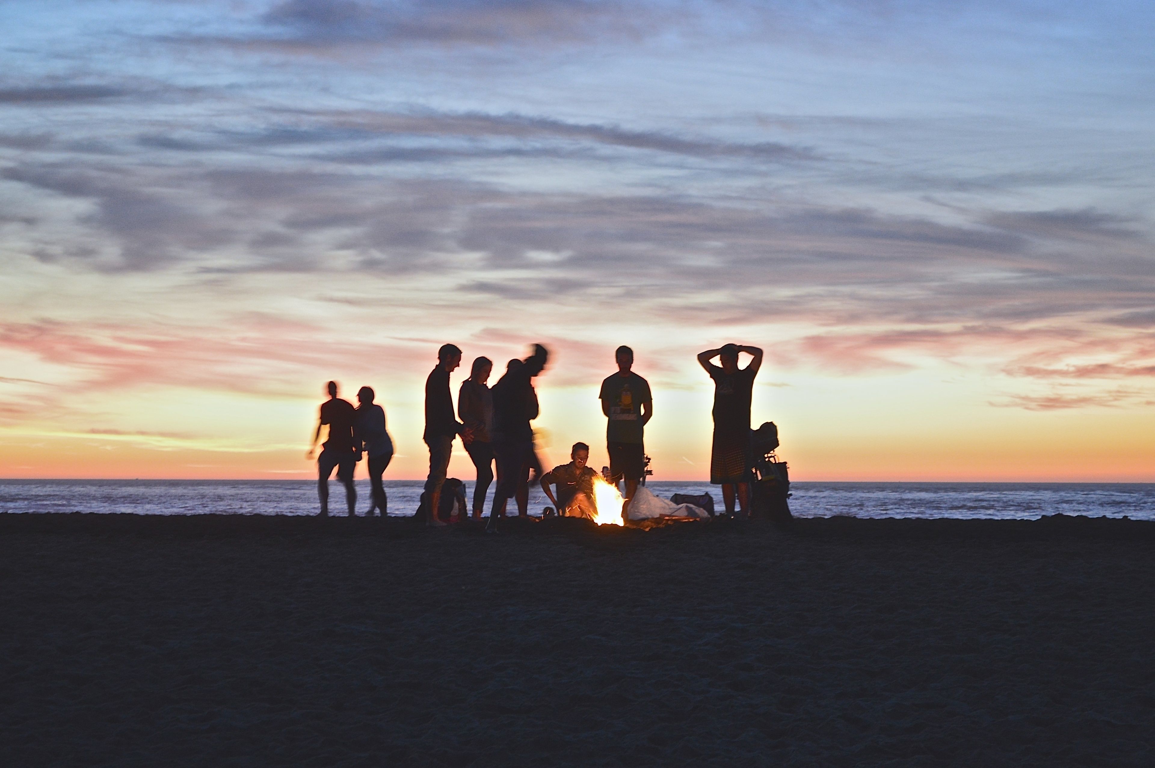 Wild Lotus Glamping