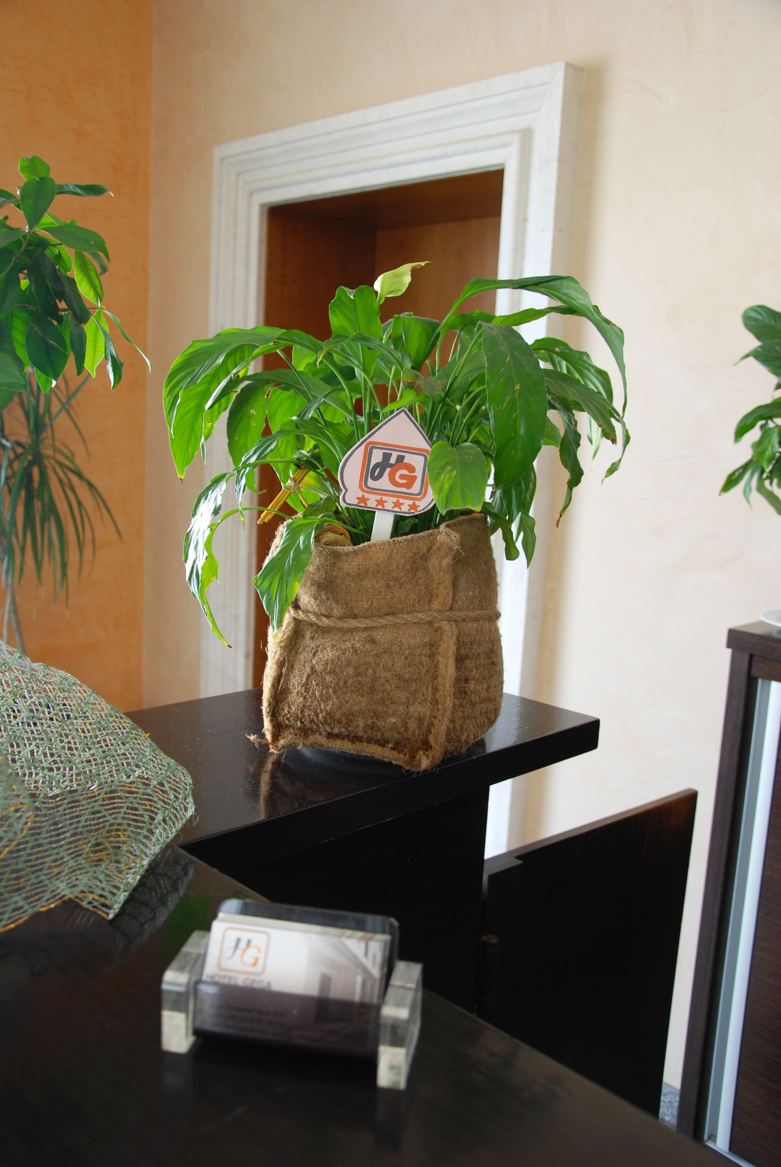 Hotel Gega