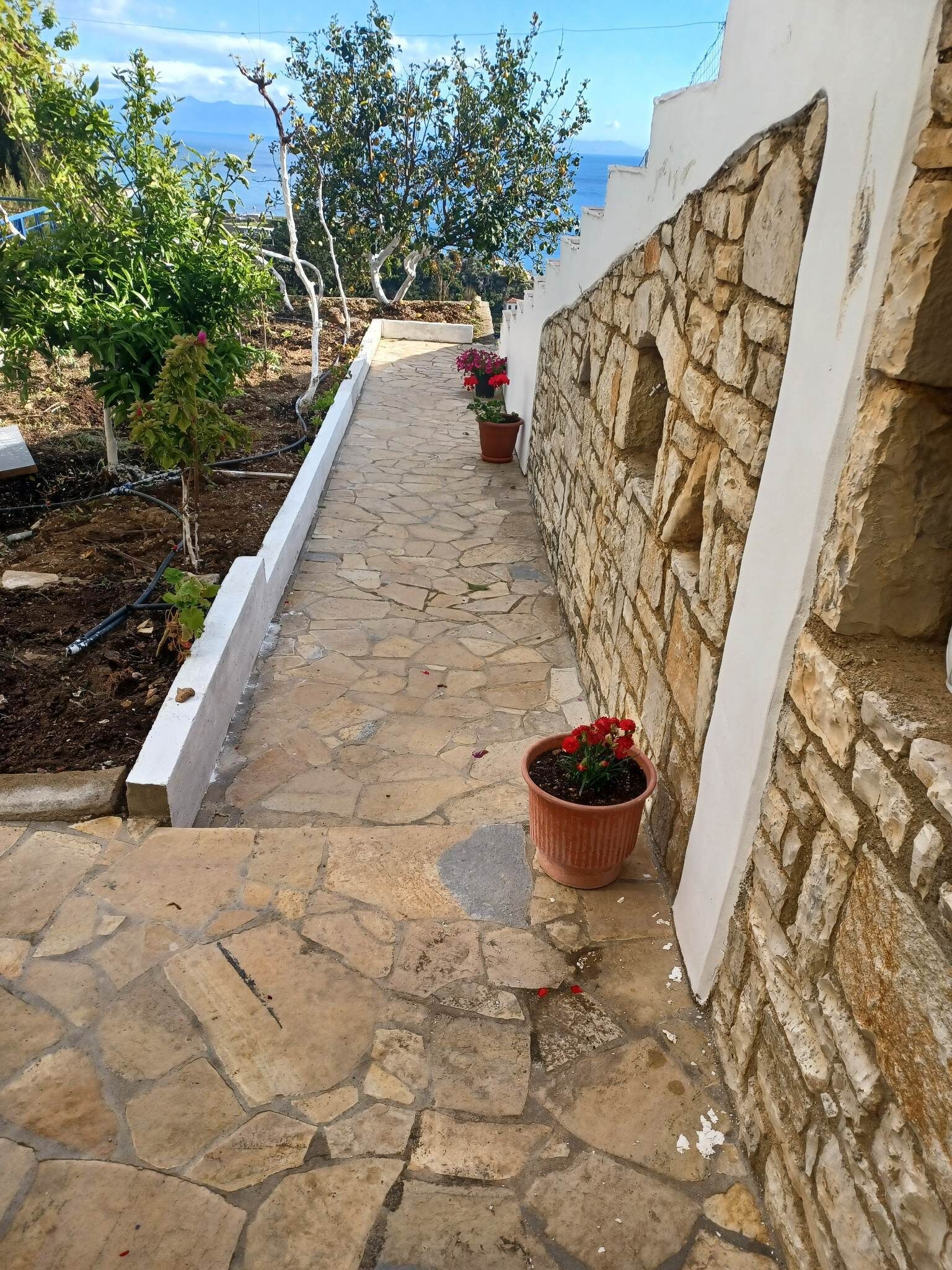 Ionian View Guest House