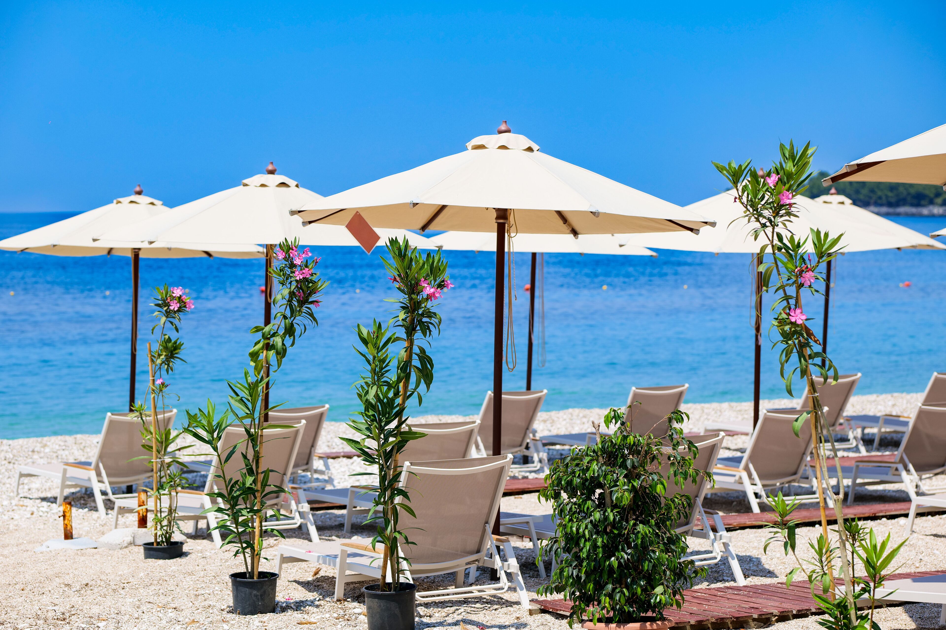Nia Boutique Hotel by Rapos Resort