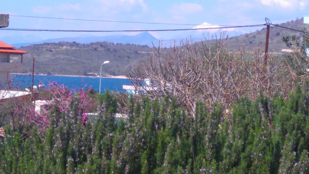 Apartaments Skrapalli