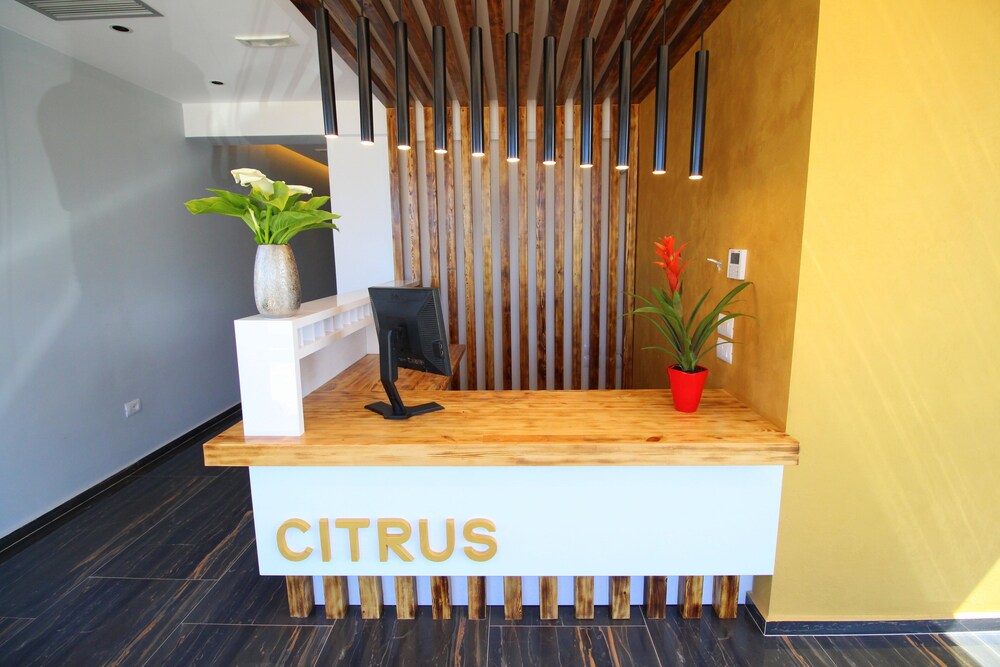 Hotel Citrus