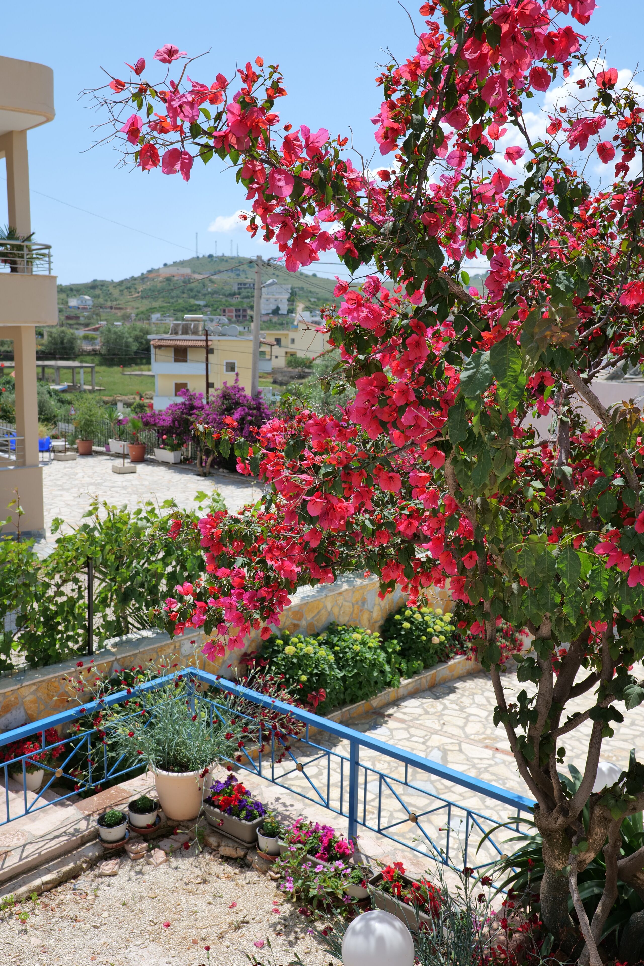 Vila Genci