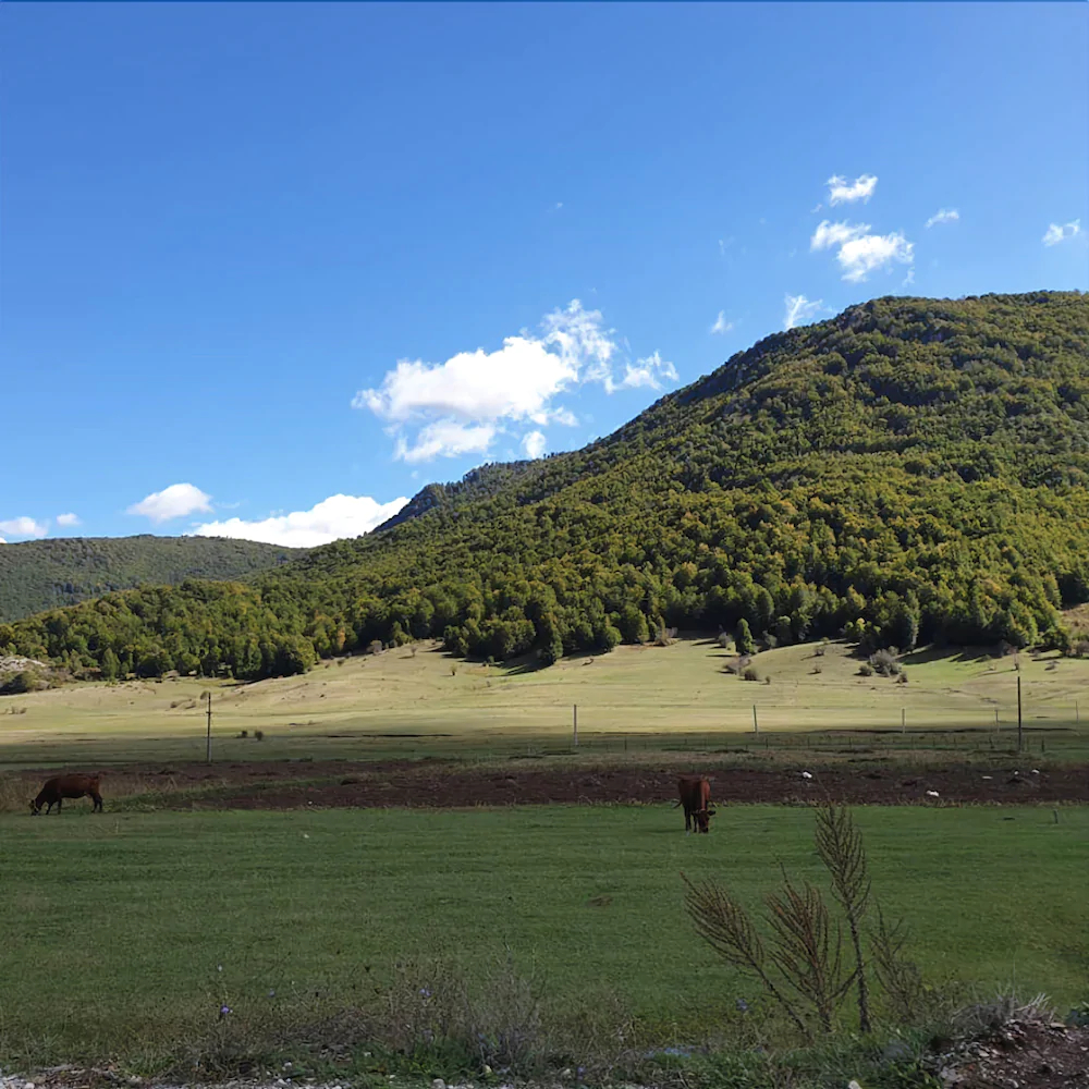 Joen Village