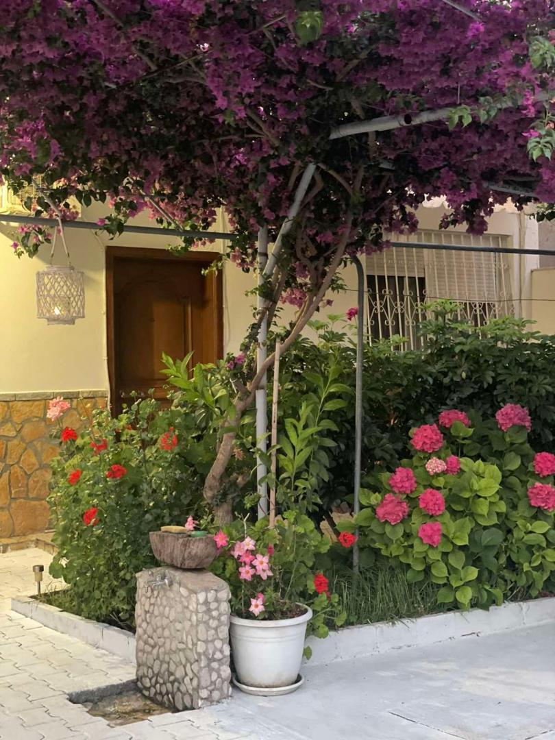 Apartments Athina