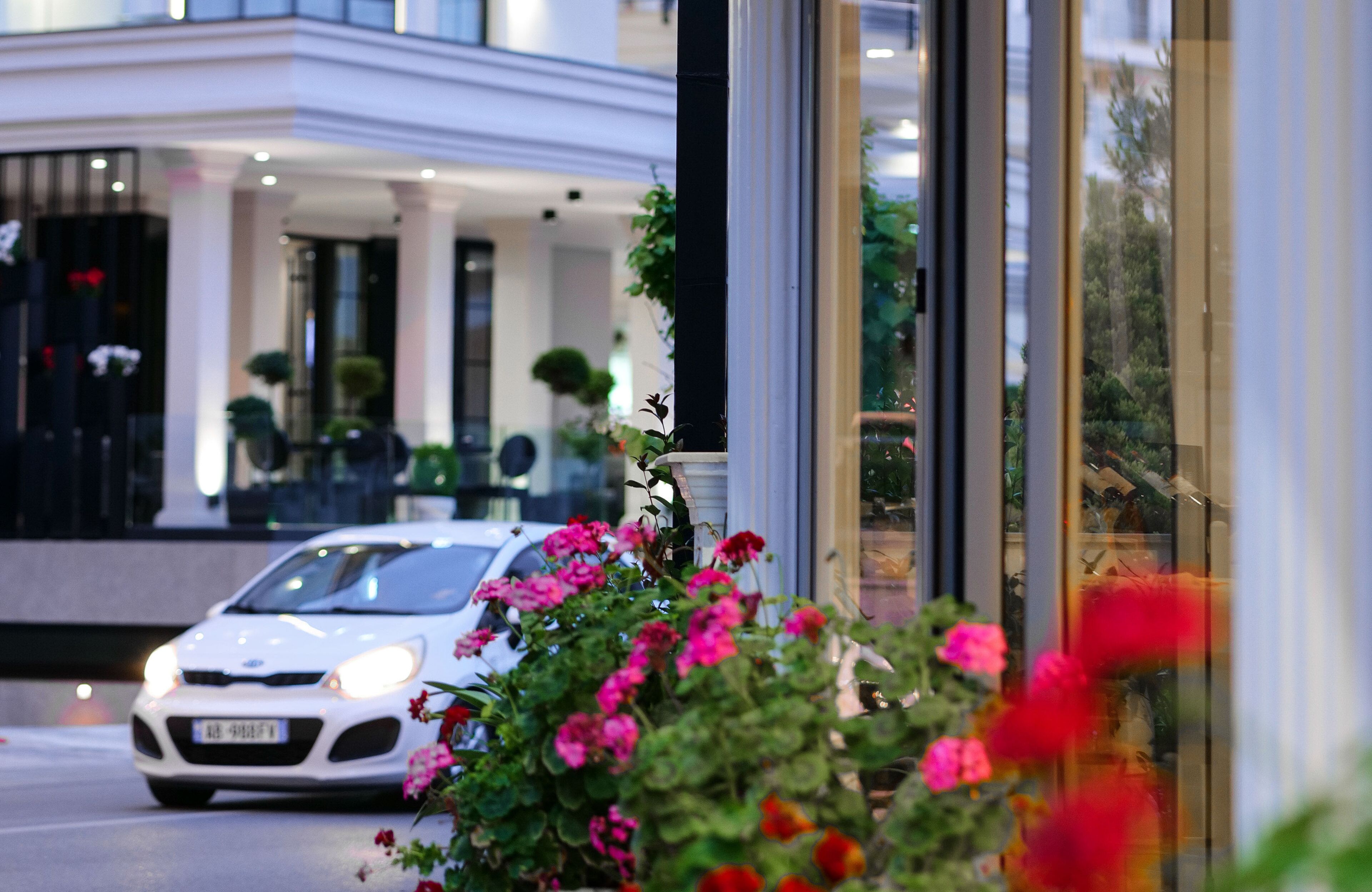 Hotel Alpha
