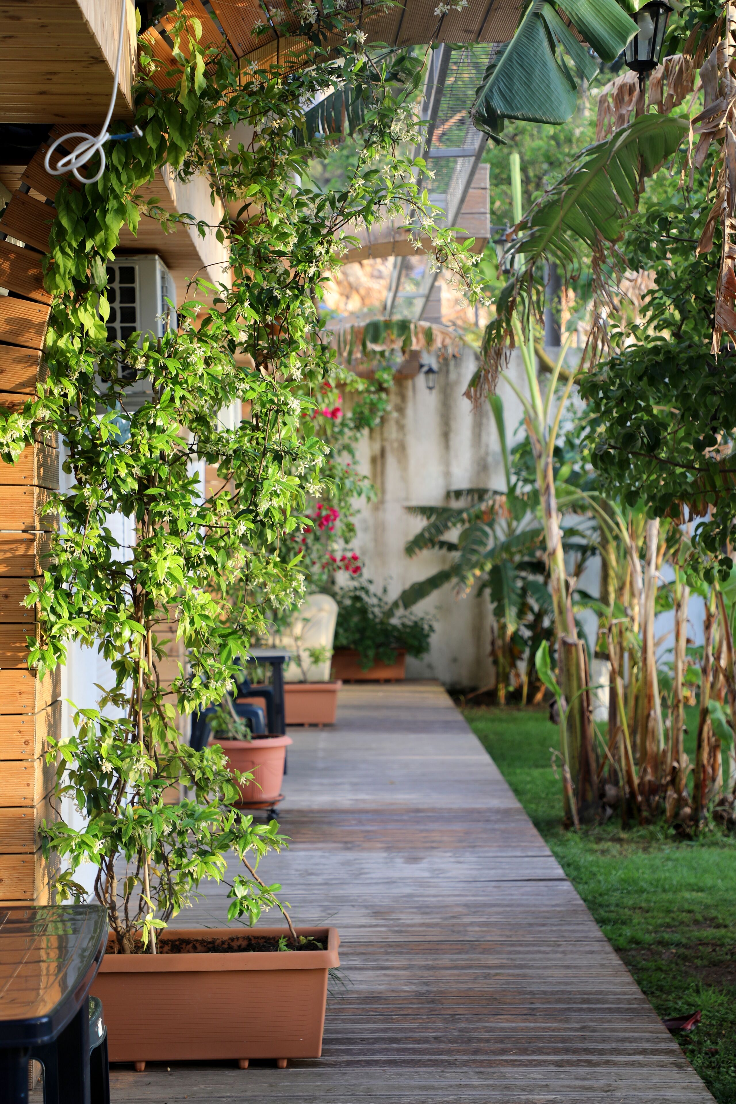 Villa Green Garden