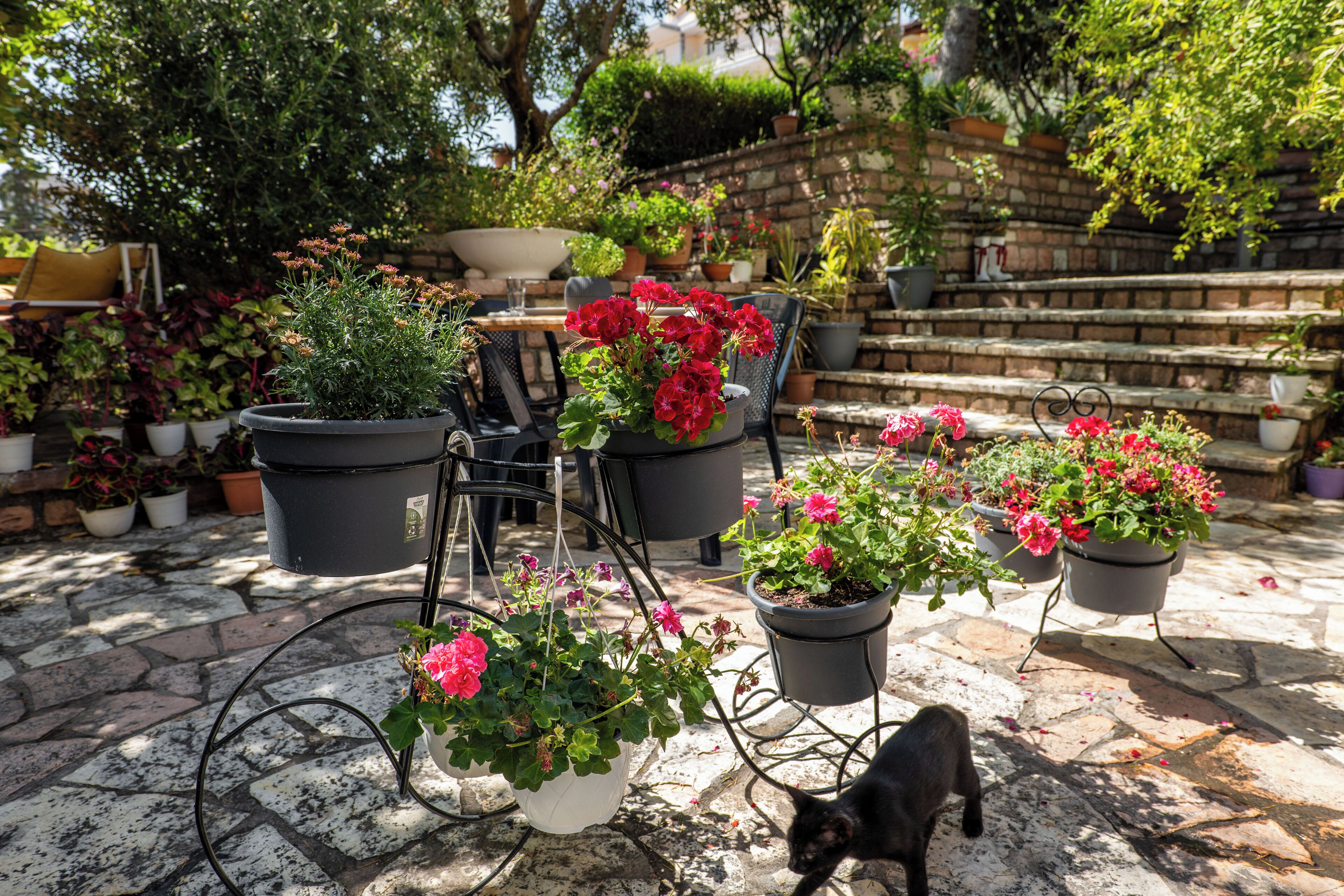 Villa Green Garden