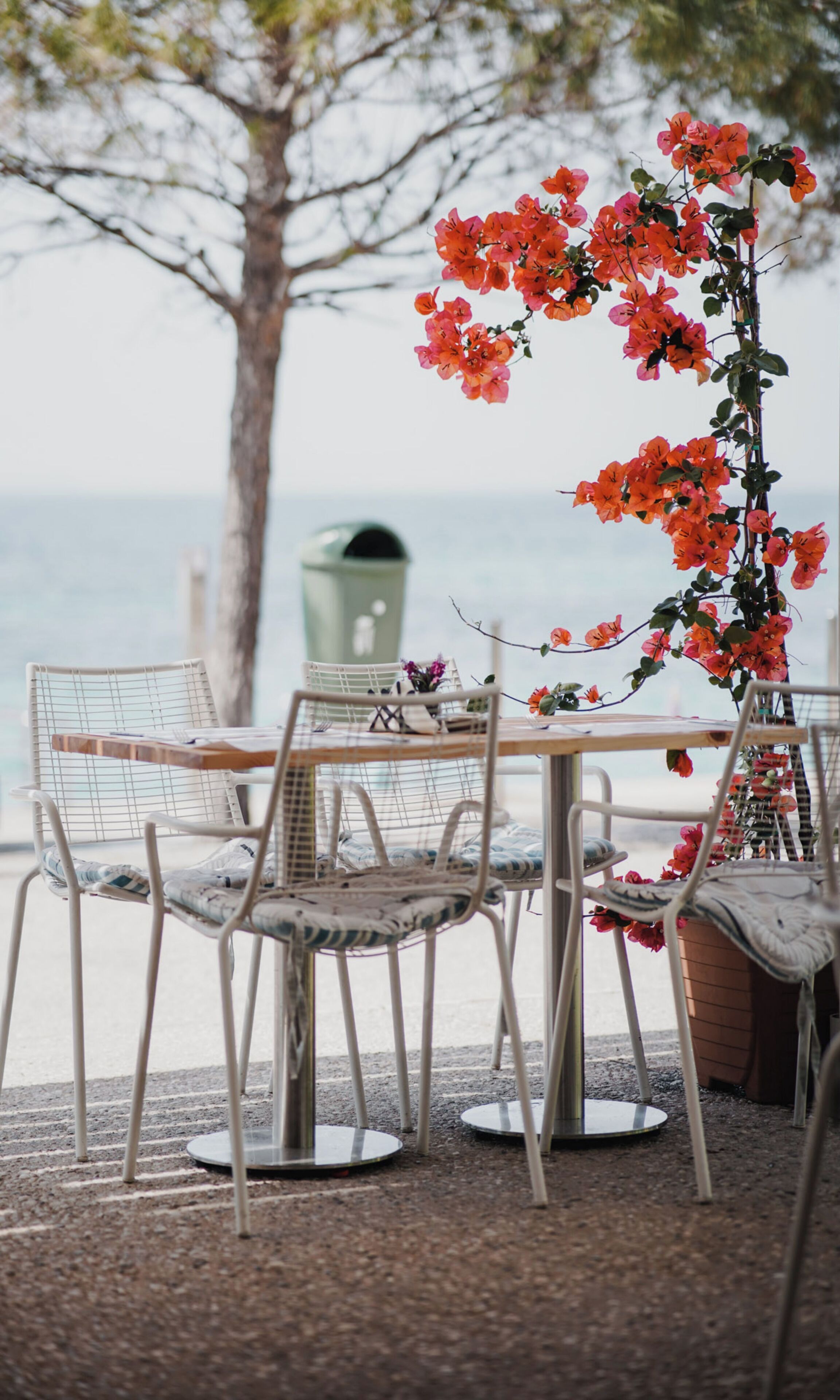 Hotel Noemie