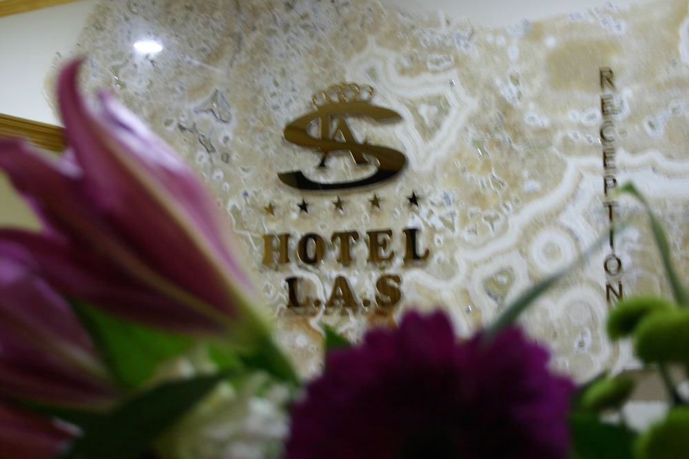 Hotel LAS