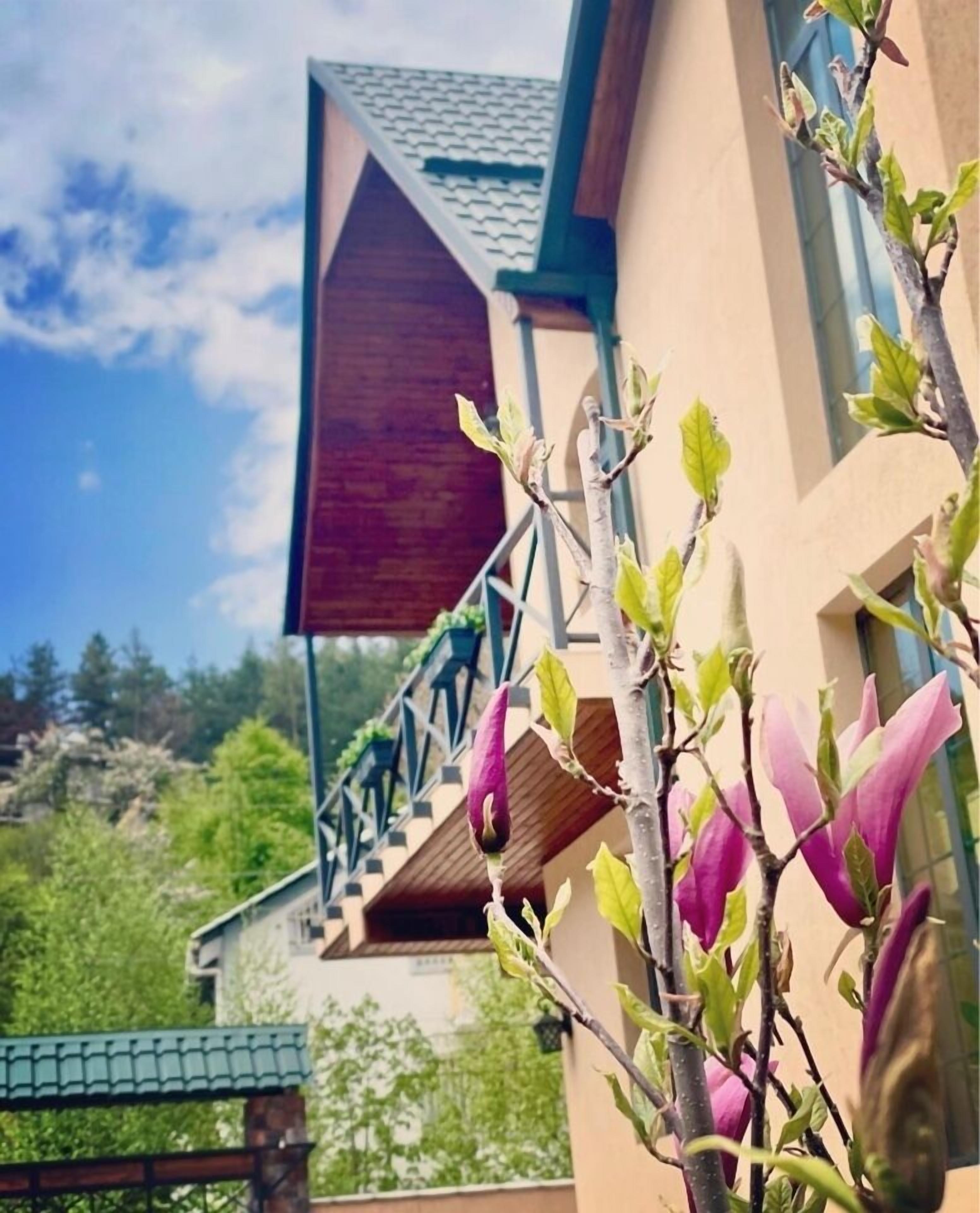 Hotel Villa Alexander Dilijan