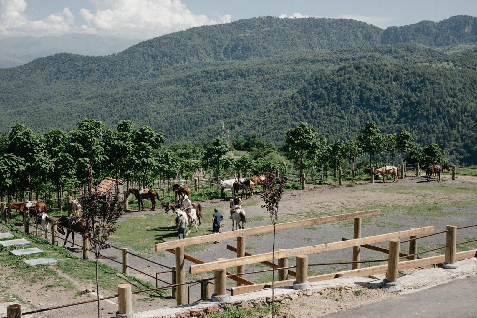 Apaga Hotel