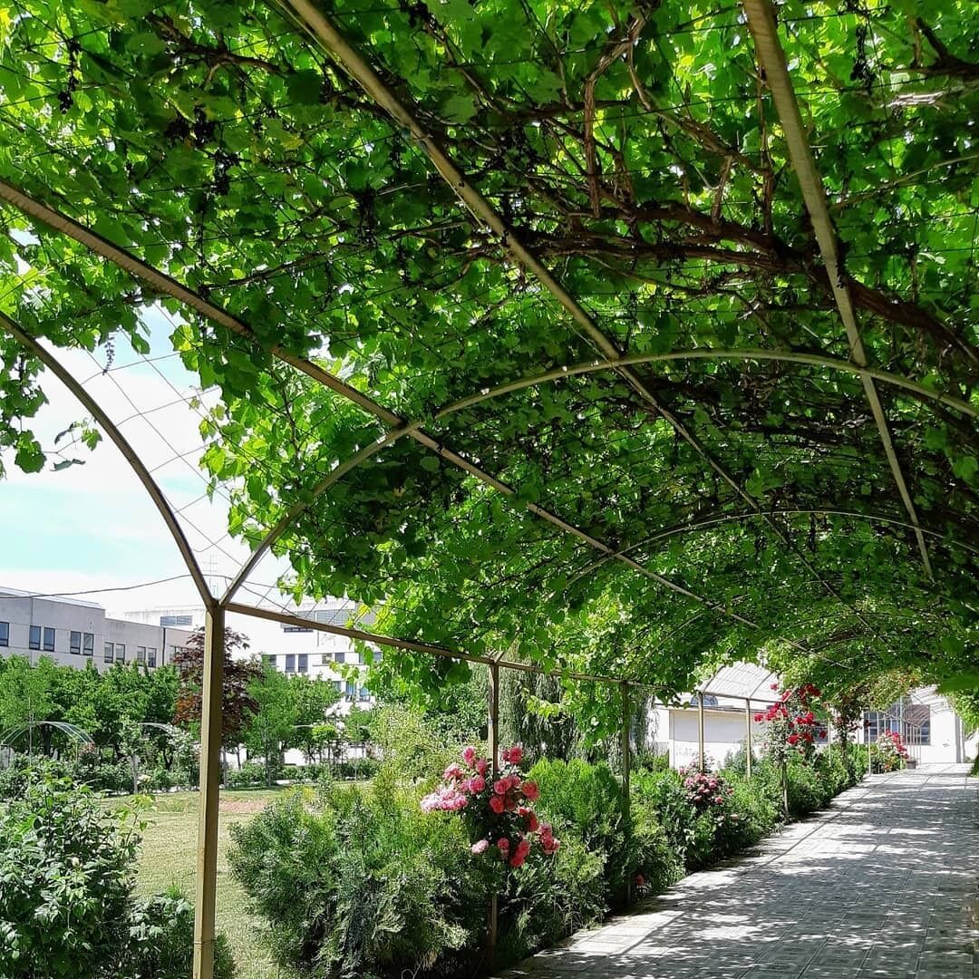 Cross Resort