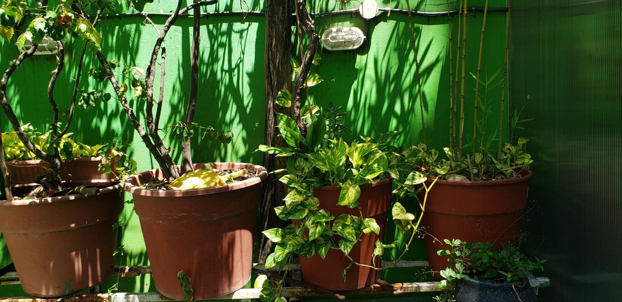 Tango Cozy Home