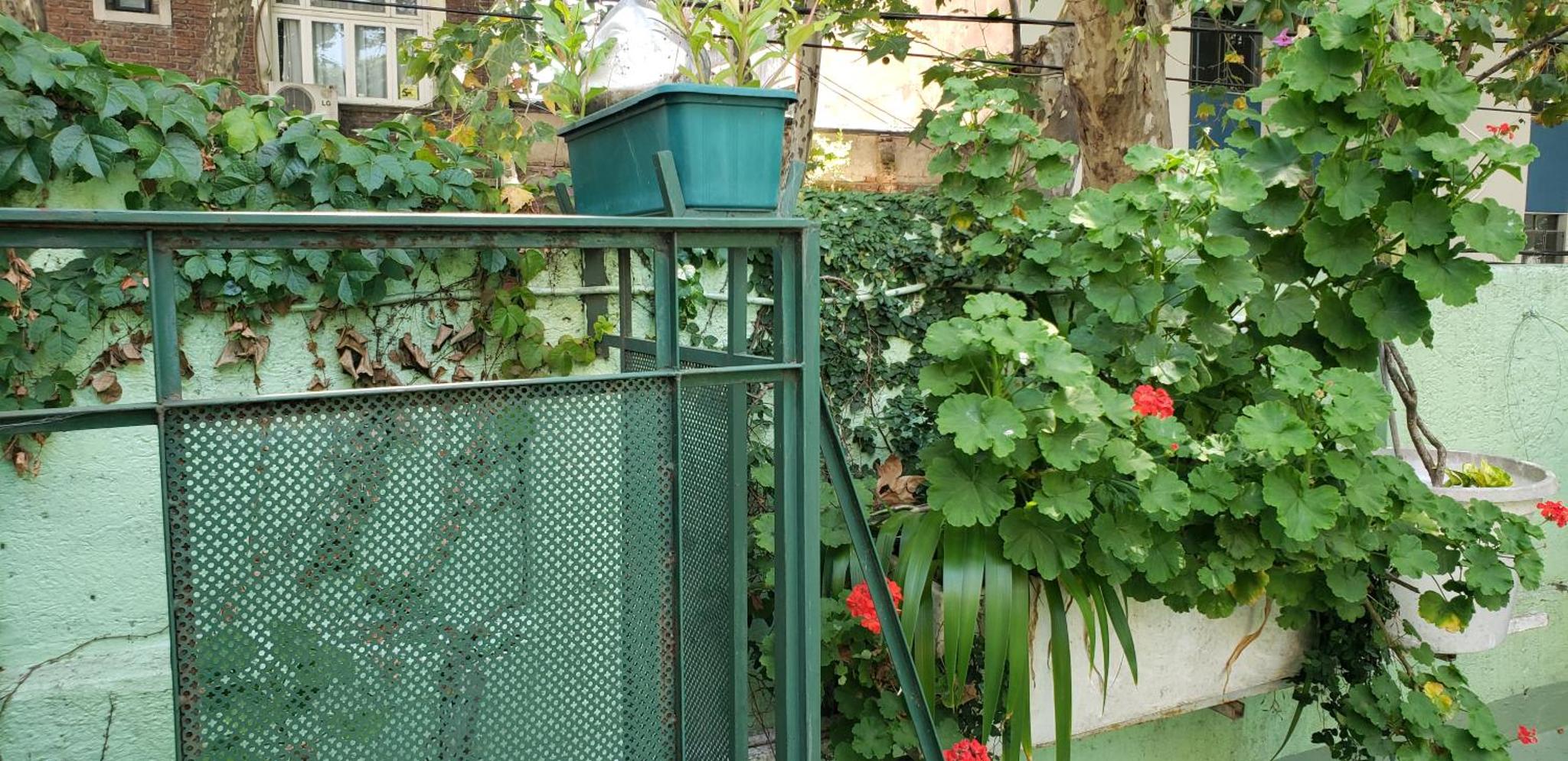 Tango Cozy Home