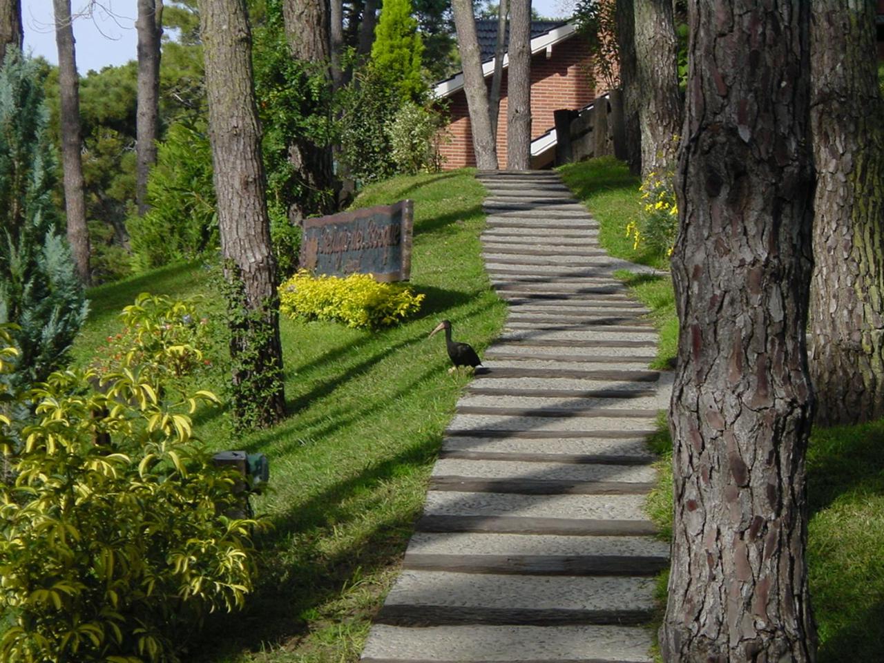 Refugio Del Bosque Carilo