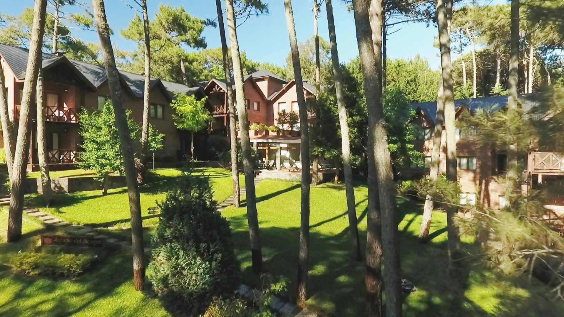 Refugio Del Bosque Carilo