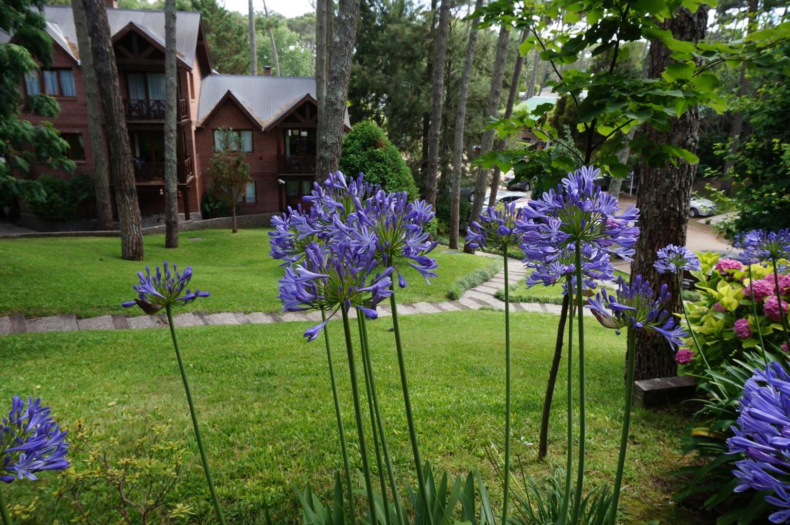 Refugio Del Bosque Carilo