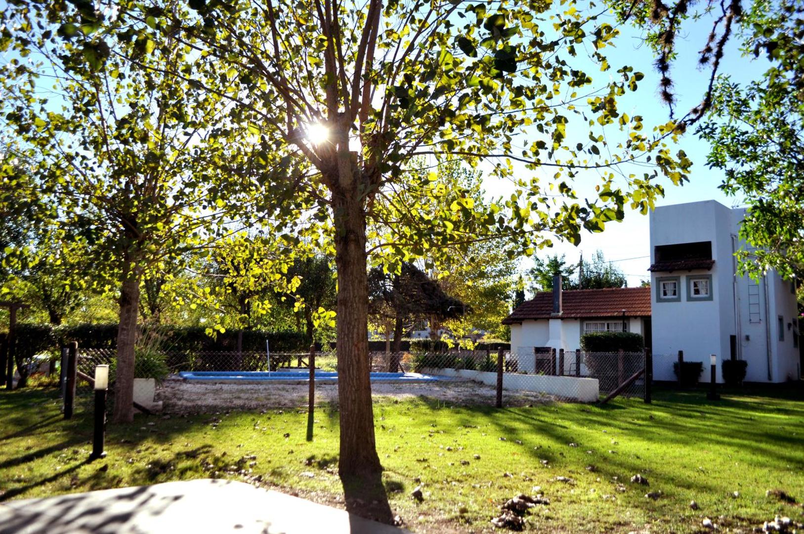 Altos De La Laguna