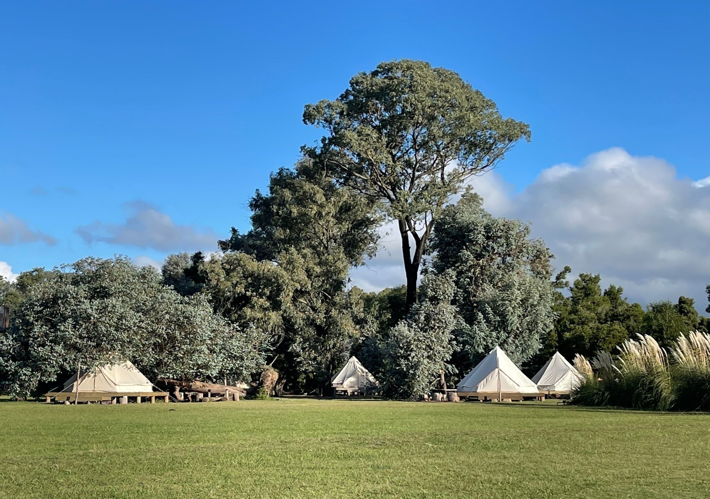 Refugio Natural Glamping