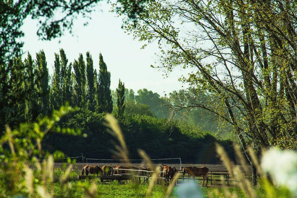 La Aguada Casa De Polo by Don