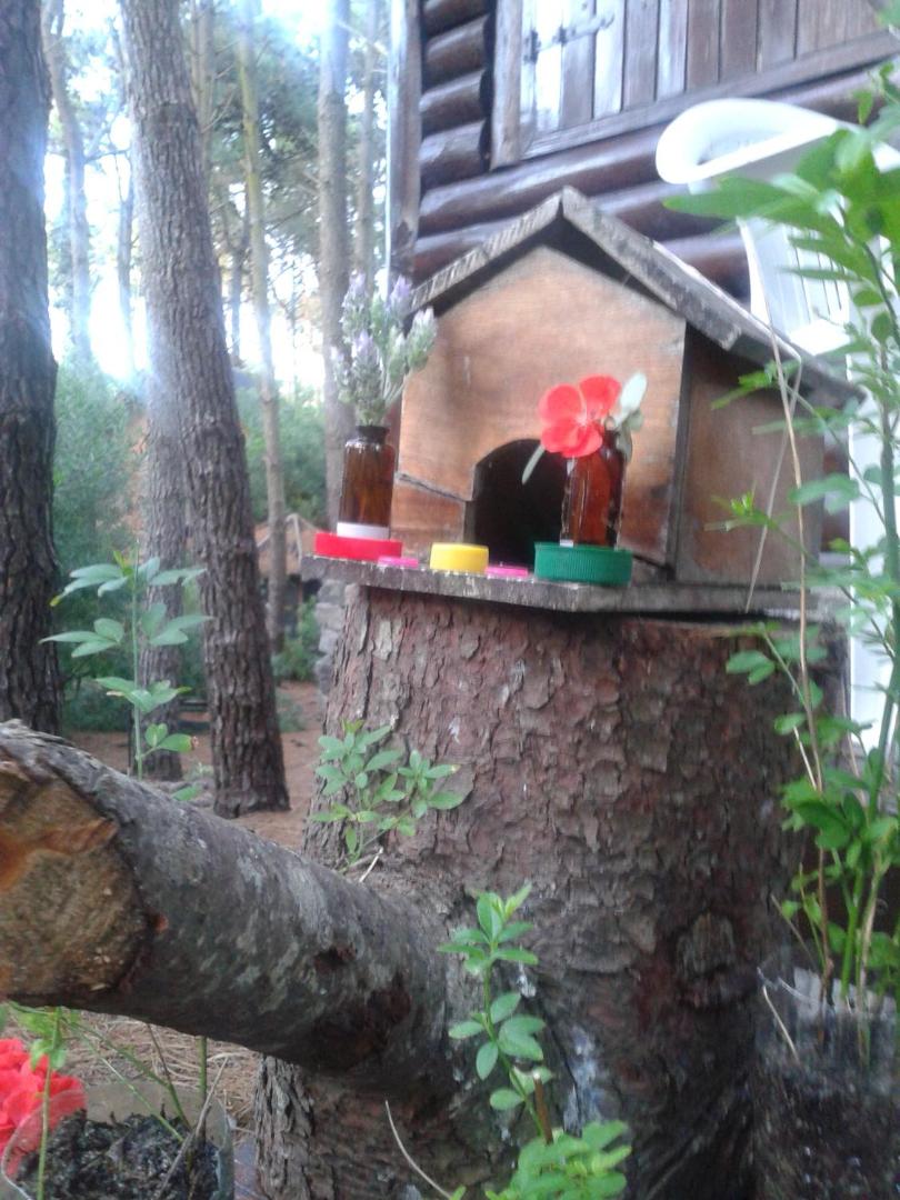 Cabanas De La Abuela