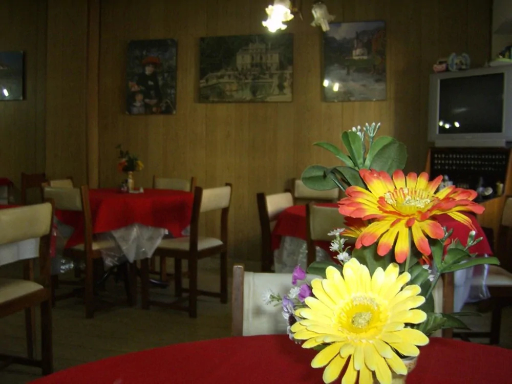 Hotel Sousas