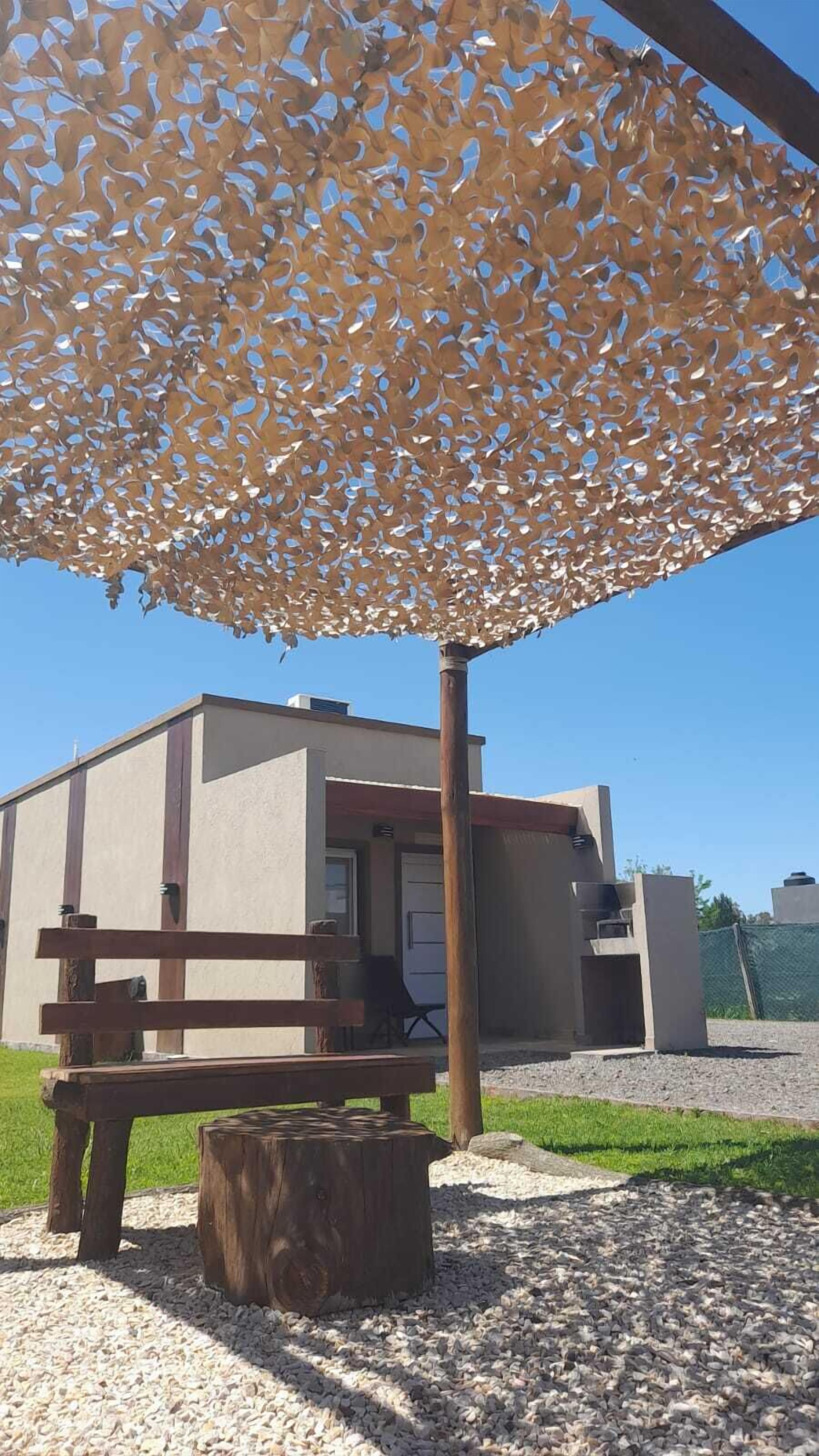 Olivos de Monte