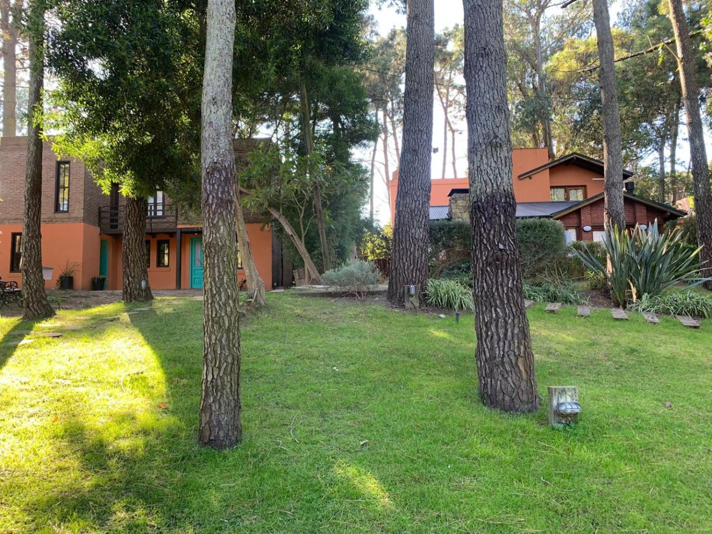 Kimbara Bosque Y Mar