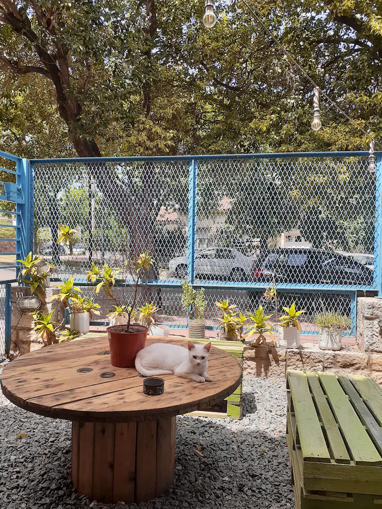 Ananta Hostel & Bar