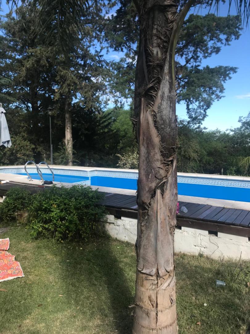 Casa De Familia Ayala