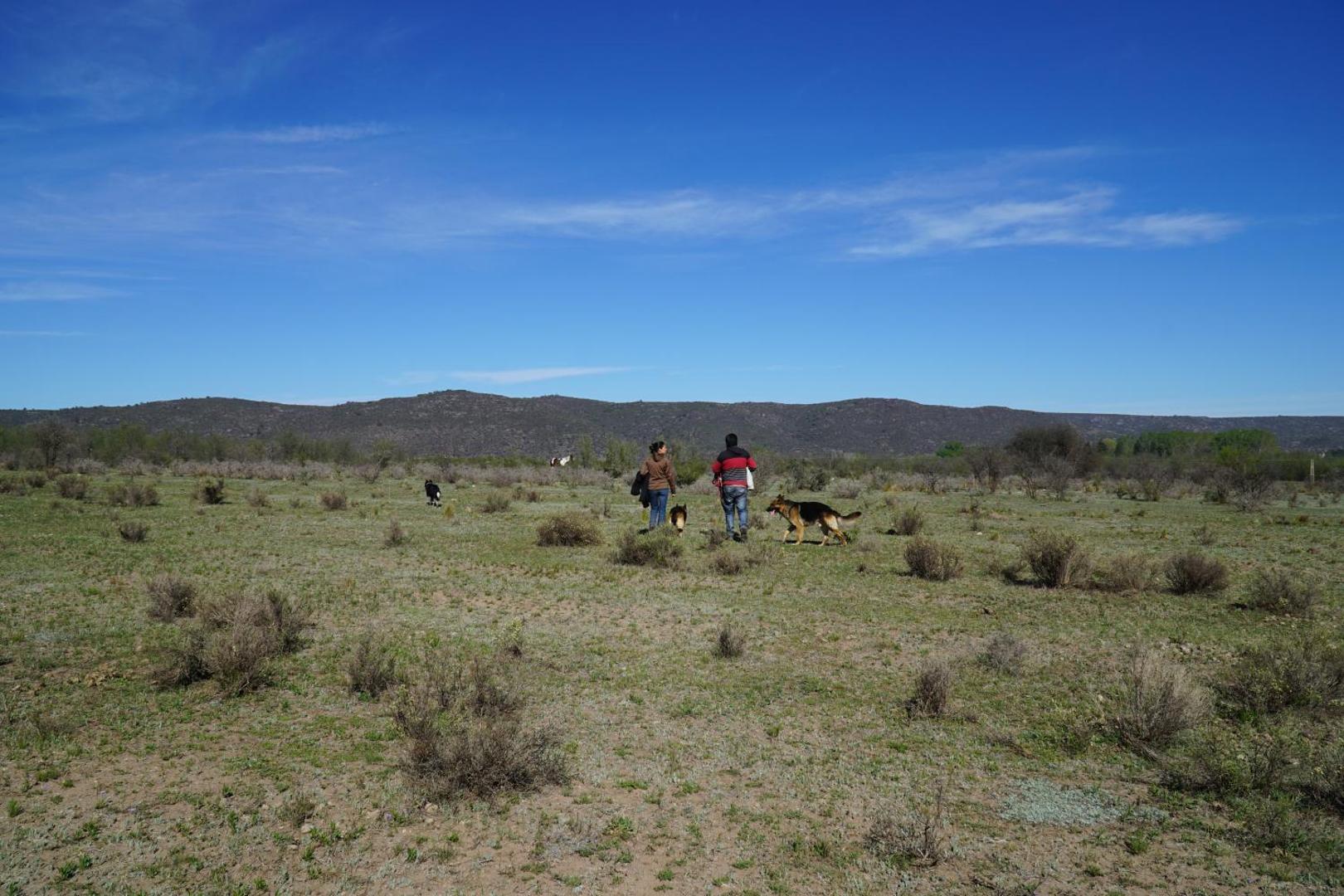 Granja El Aromo